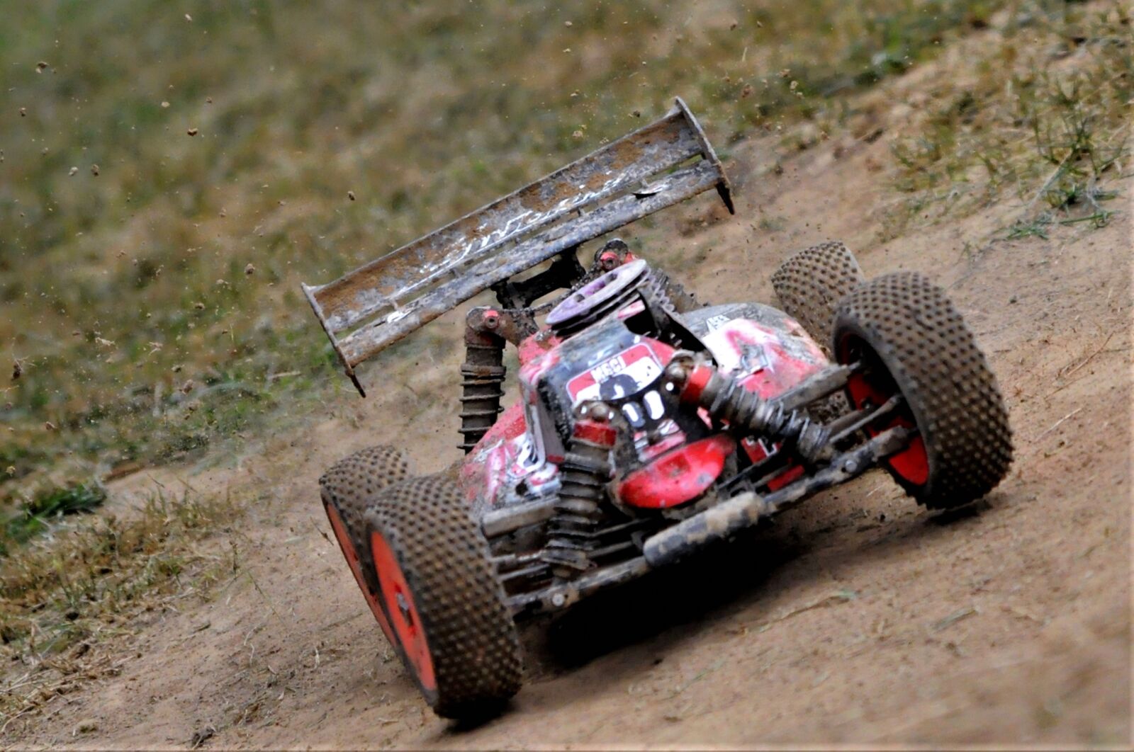 Nikon D5000 sample photo. Rc, 1 8, buggy photography