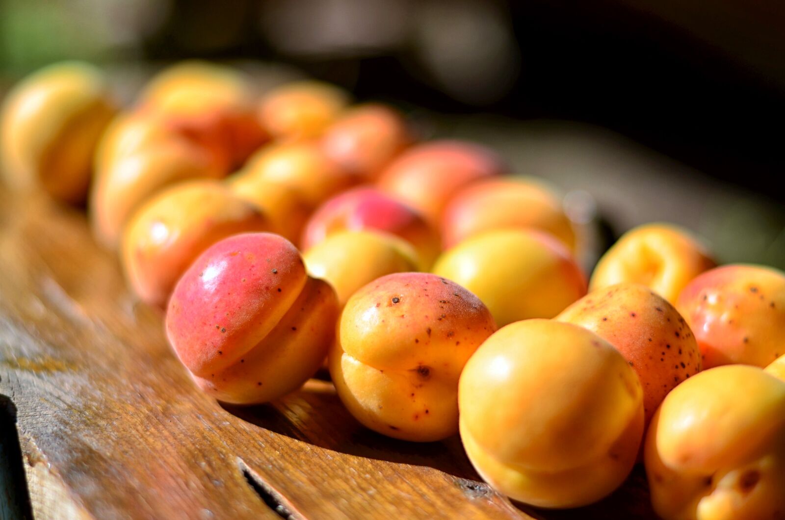 Nikon D5100 sample photo. Apricot, fruit, macro photography