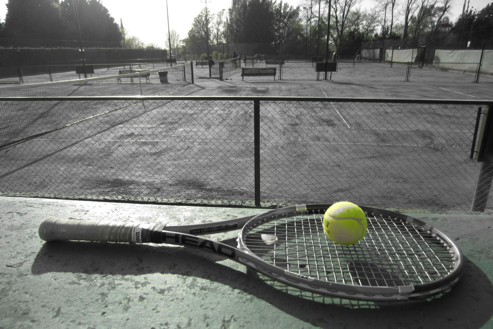 Canon PowerShot ELPH 300 HS (IXUS 220 HS / IXY 410F) sample photo. Tennis, sport, tennis ball photography