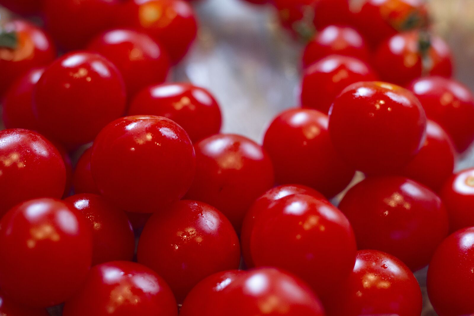 Canon EF 50mm F1.8 STM sample photo. Cherry tomatoes, tomatoes, cherry photography