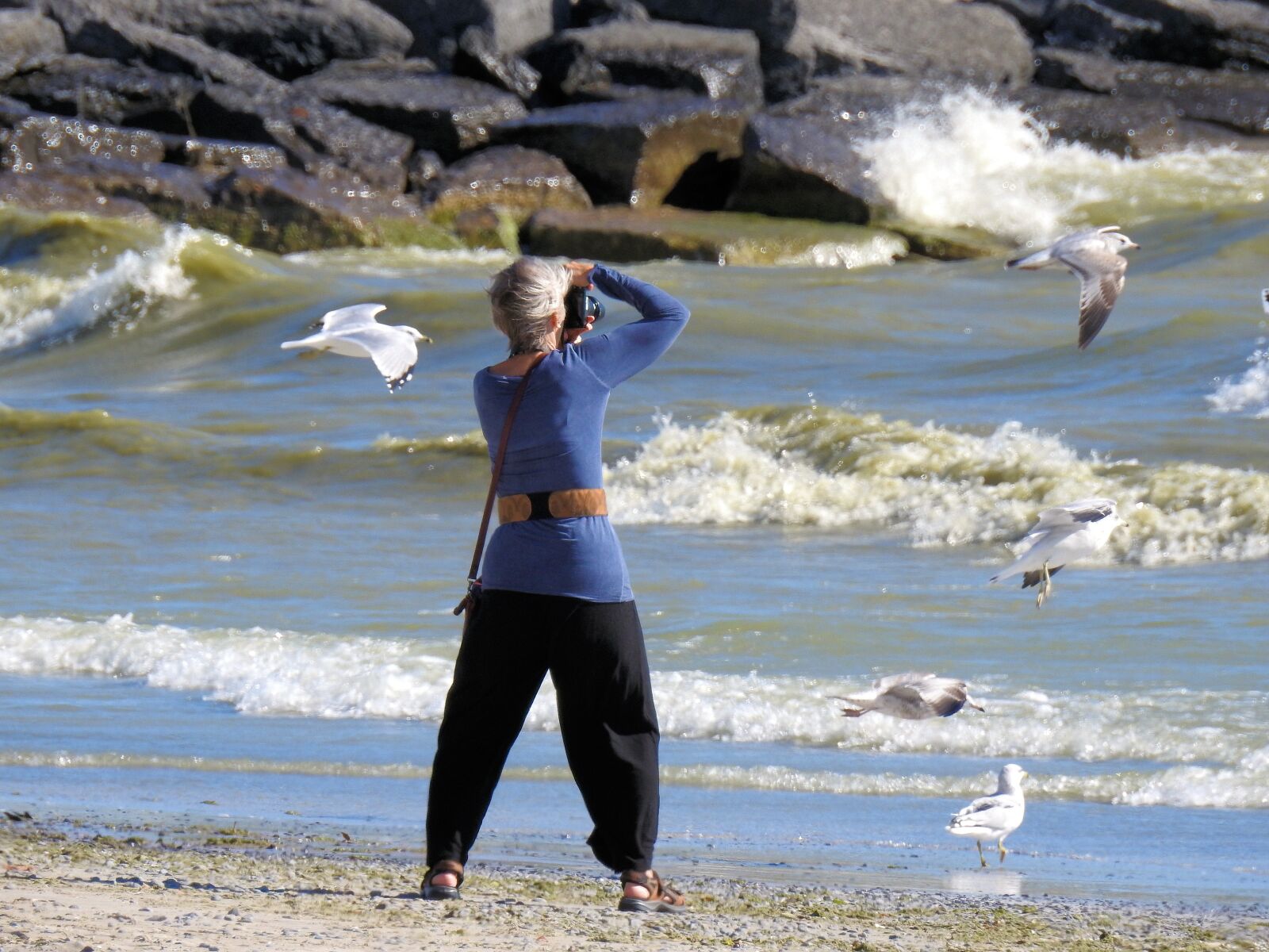 Nikon Coolpix P900 sample photo. Photographer, waves, seagulls photography