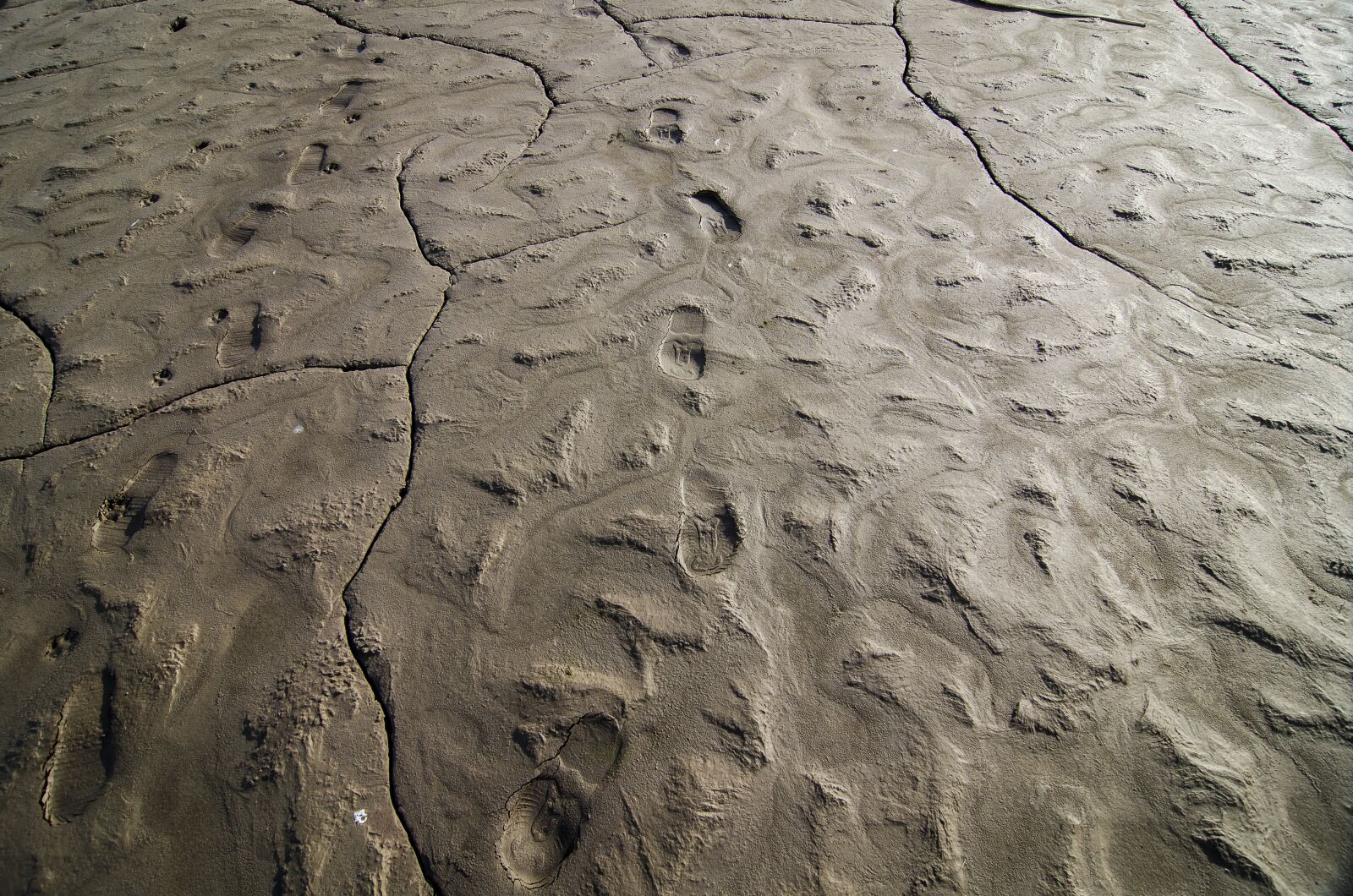 Nikon D7000 sample photo. Mud, footprints, footprint photography