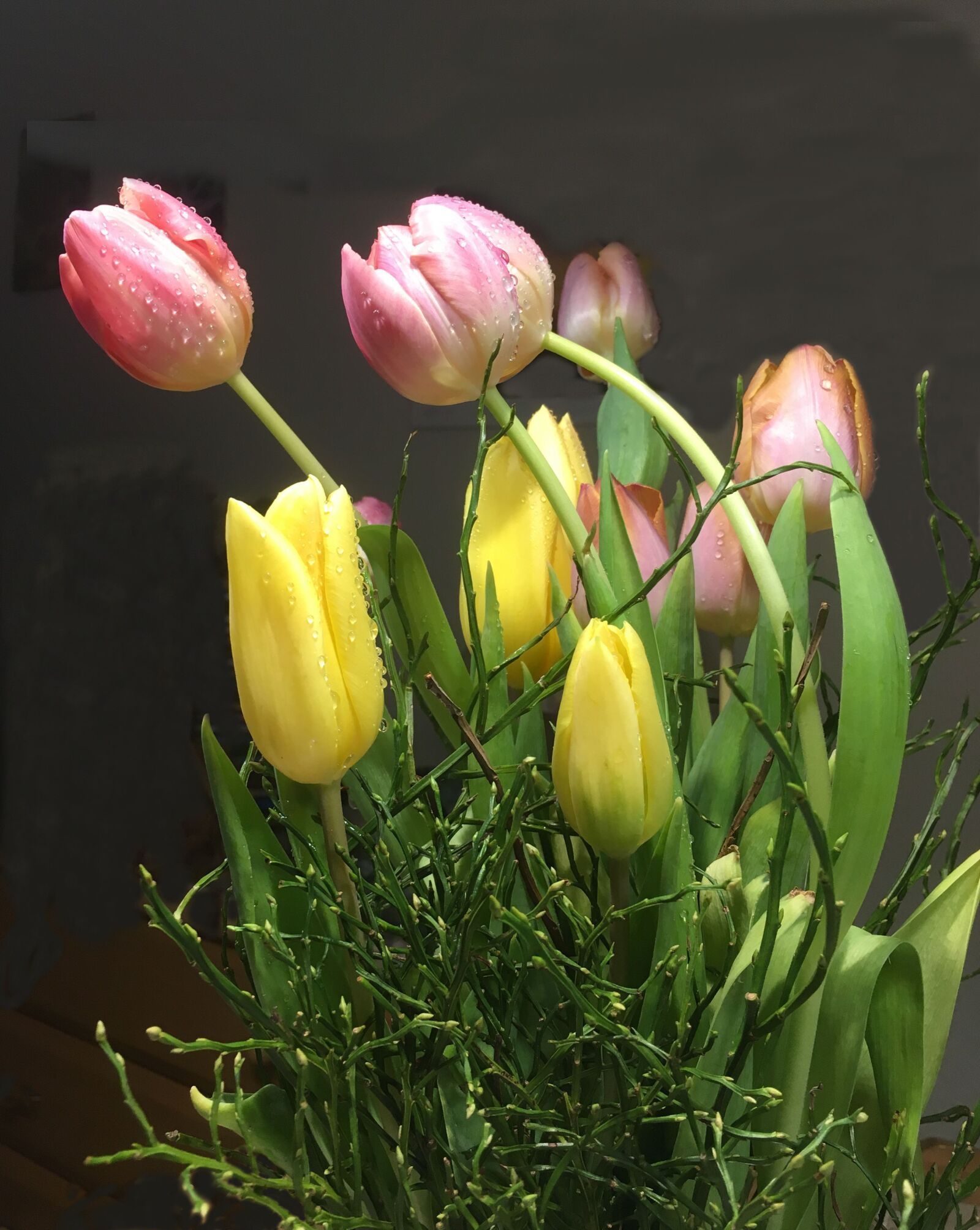 Apple iPhone 6s sample photo. Tulip bouquet, colorful, drop photography