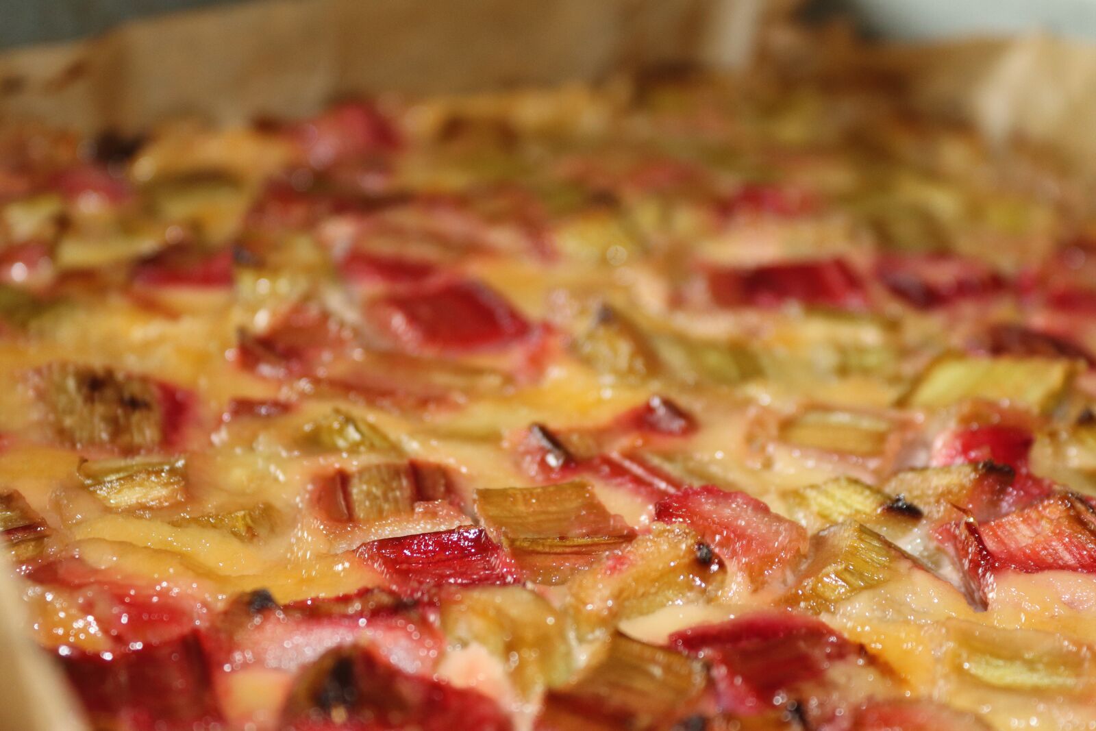 Canon EOS 200D (EOS Rebel SL2 / EOS Kiss X9) sample photo. Cake, rhubarb, rhubarb cake photography