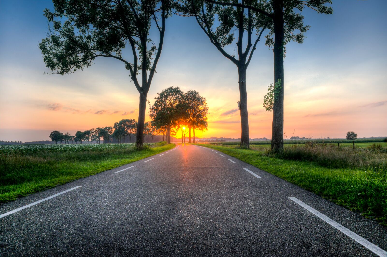 Nikon D610 sample photo. Sunset, road, trees photography