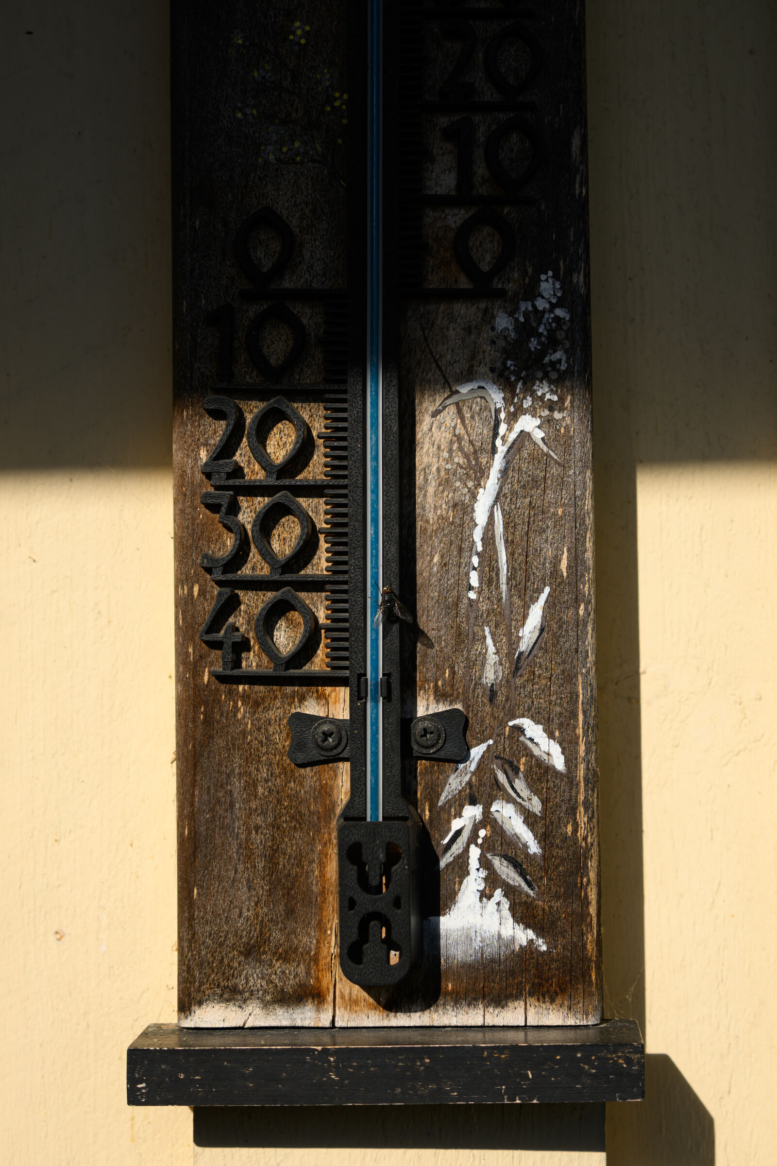 Nikon Z8 sample photo. Thermometer shadow photography