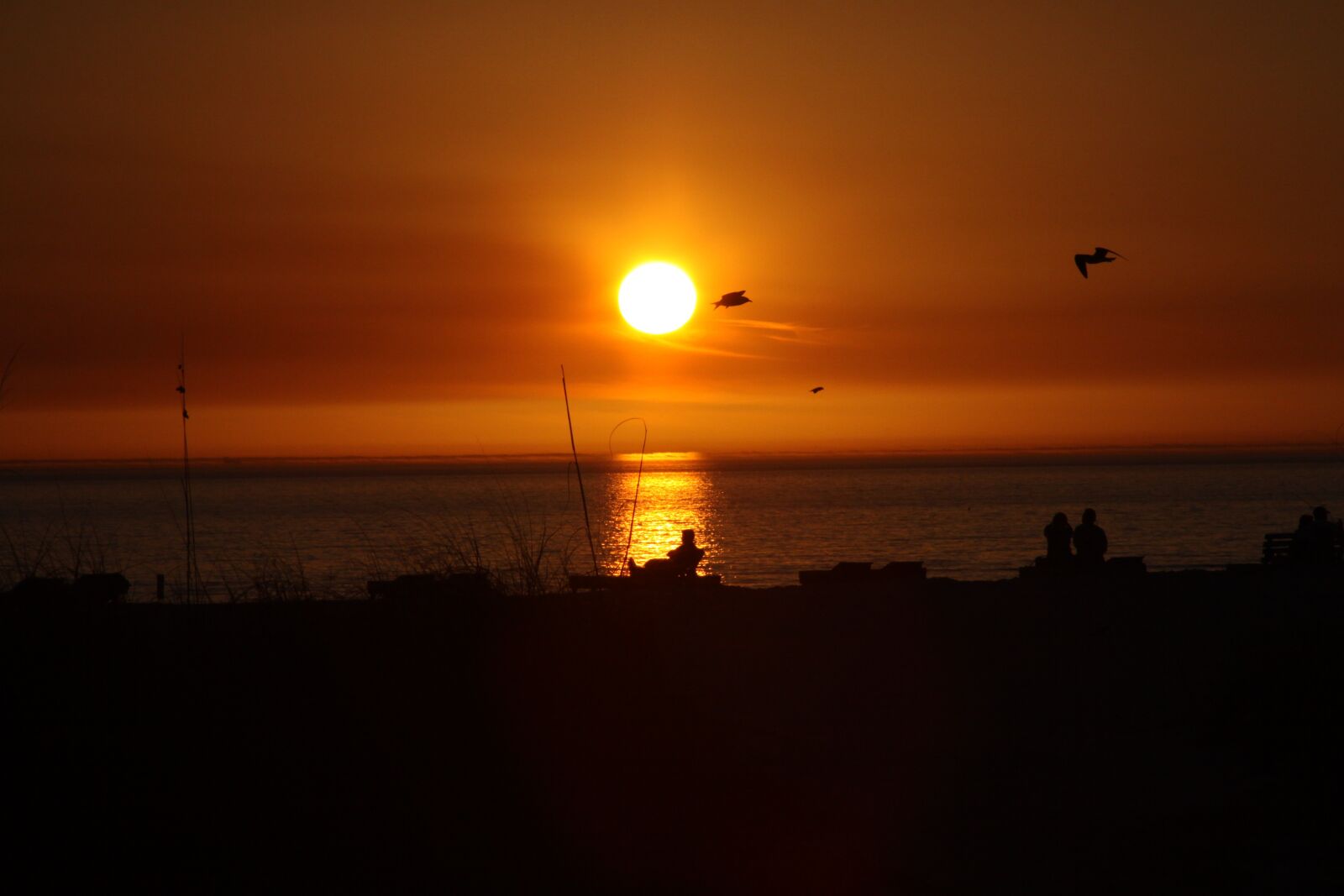 Canon EOS 50D sample photo. Sunset, blushing morning there photography