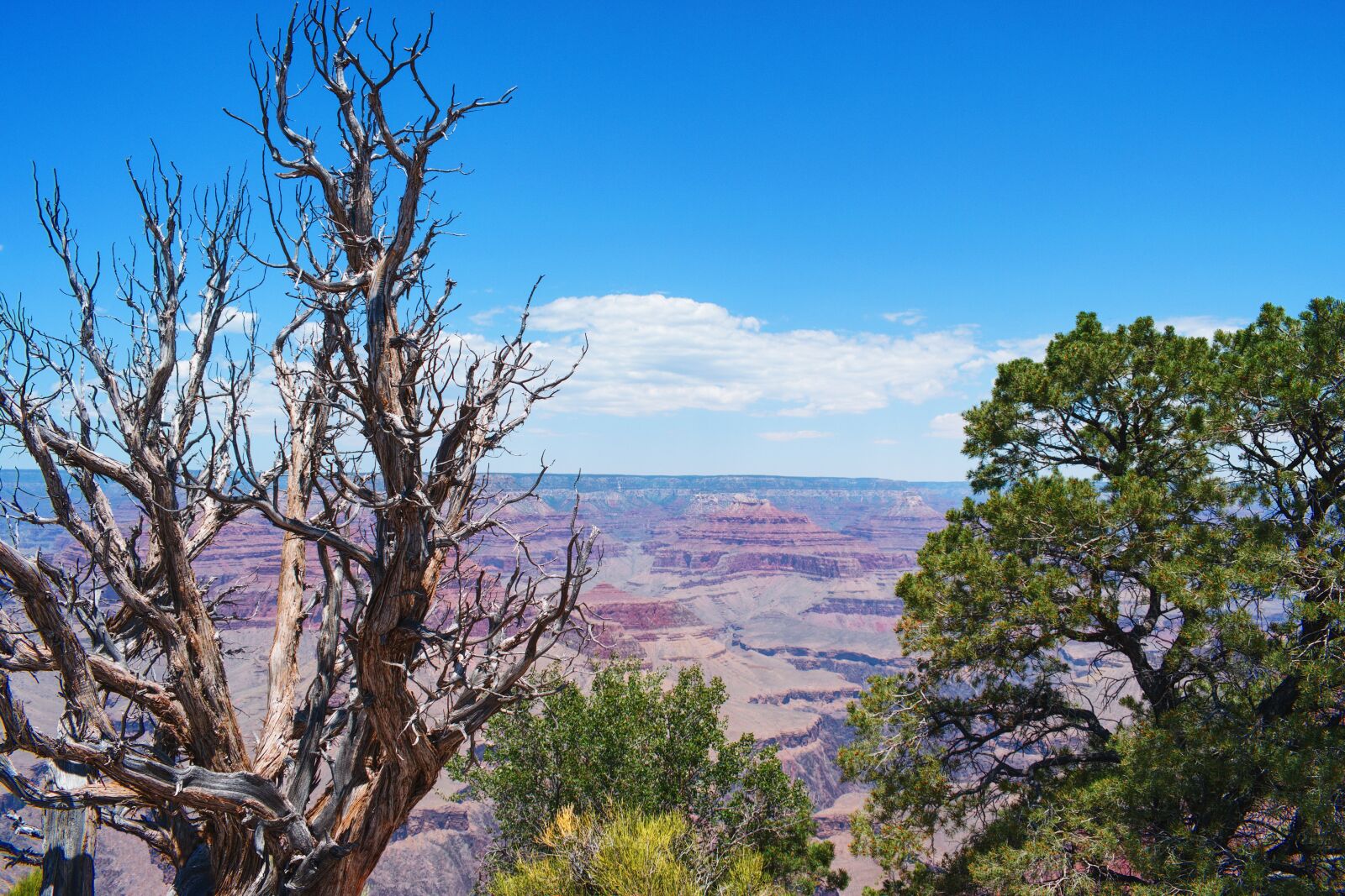 Nikon D5300 sample photo. Grand canyon, landscape, mountains photography