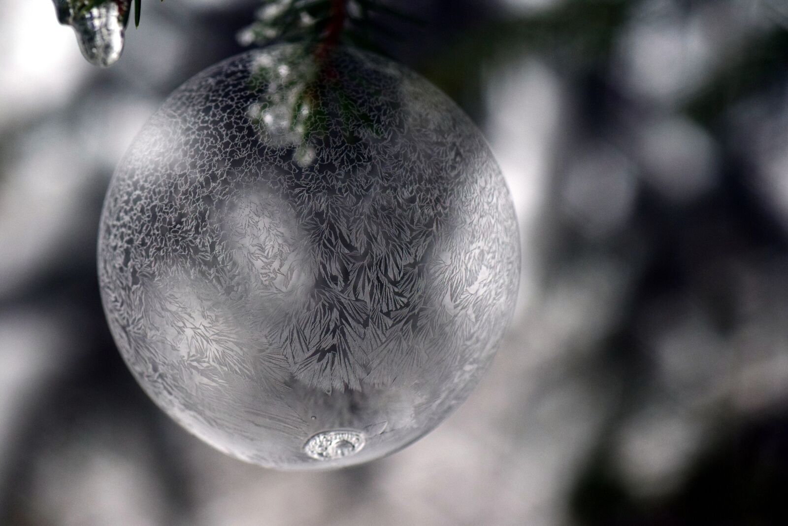 Nikon D3300 sample photo. Ball, ice ball, frosty photography