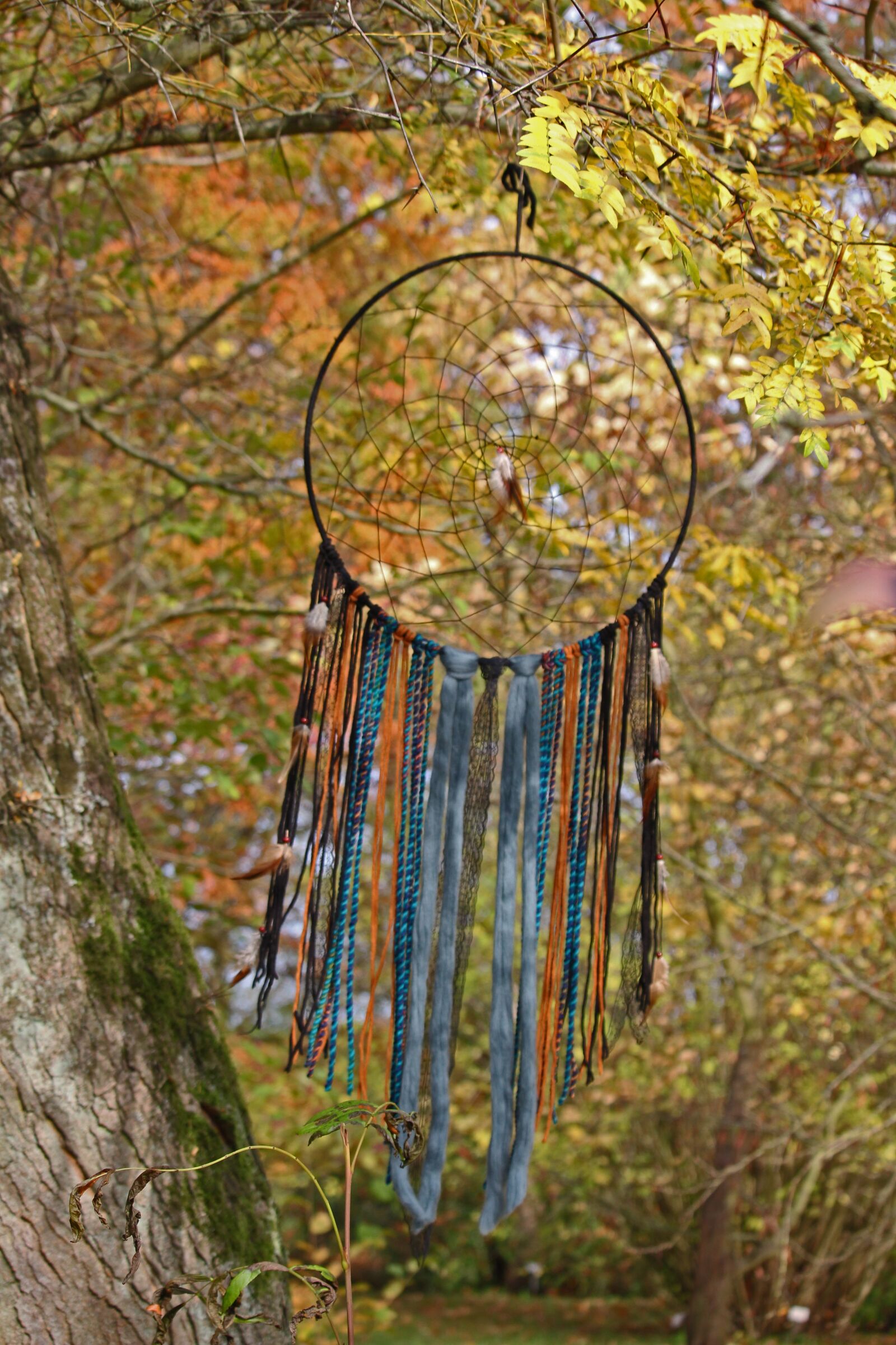 Canon EF-S 55-250mm F4-5.6 IS STM sample photo. Dream catcher, arboretum, old photography