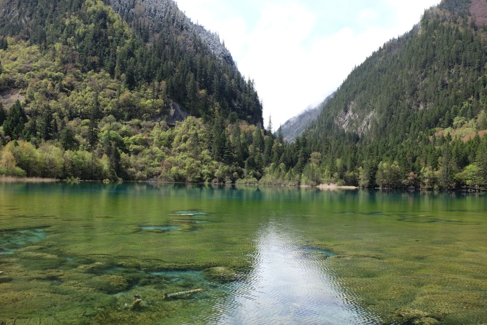 Fujifilm X100T sample photo. Jiuzhaigou, lake, sichuan photography