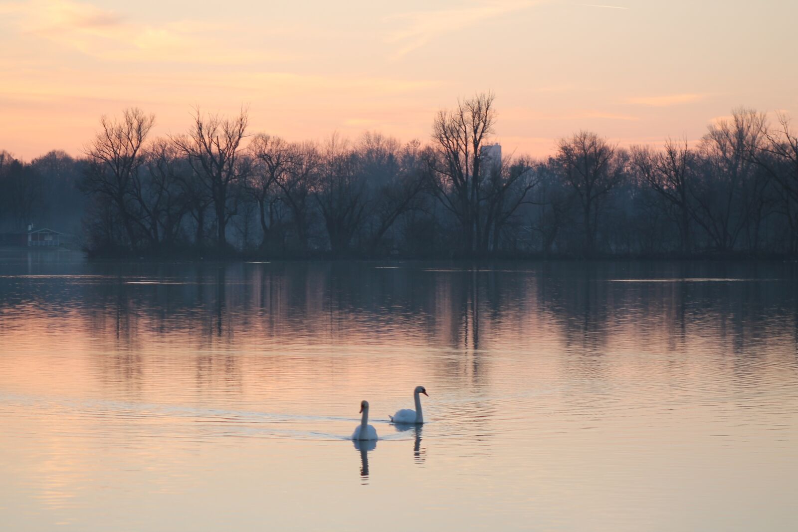 EF75-300mm f/4-5.6 sample photo. Sunset, swans, lake photography