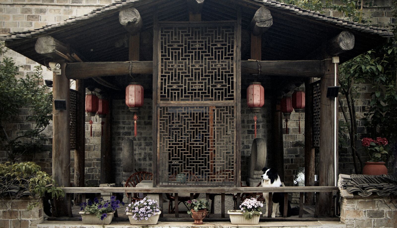 Canon EOS 700D (EOS Rebel T5i / EOS Kiss X7i) sample photo. Ancient house, pavilion, dog photography