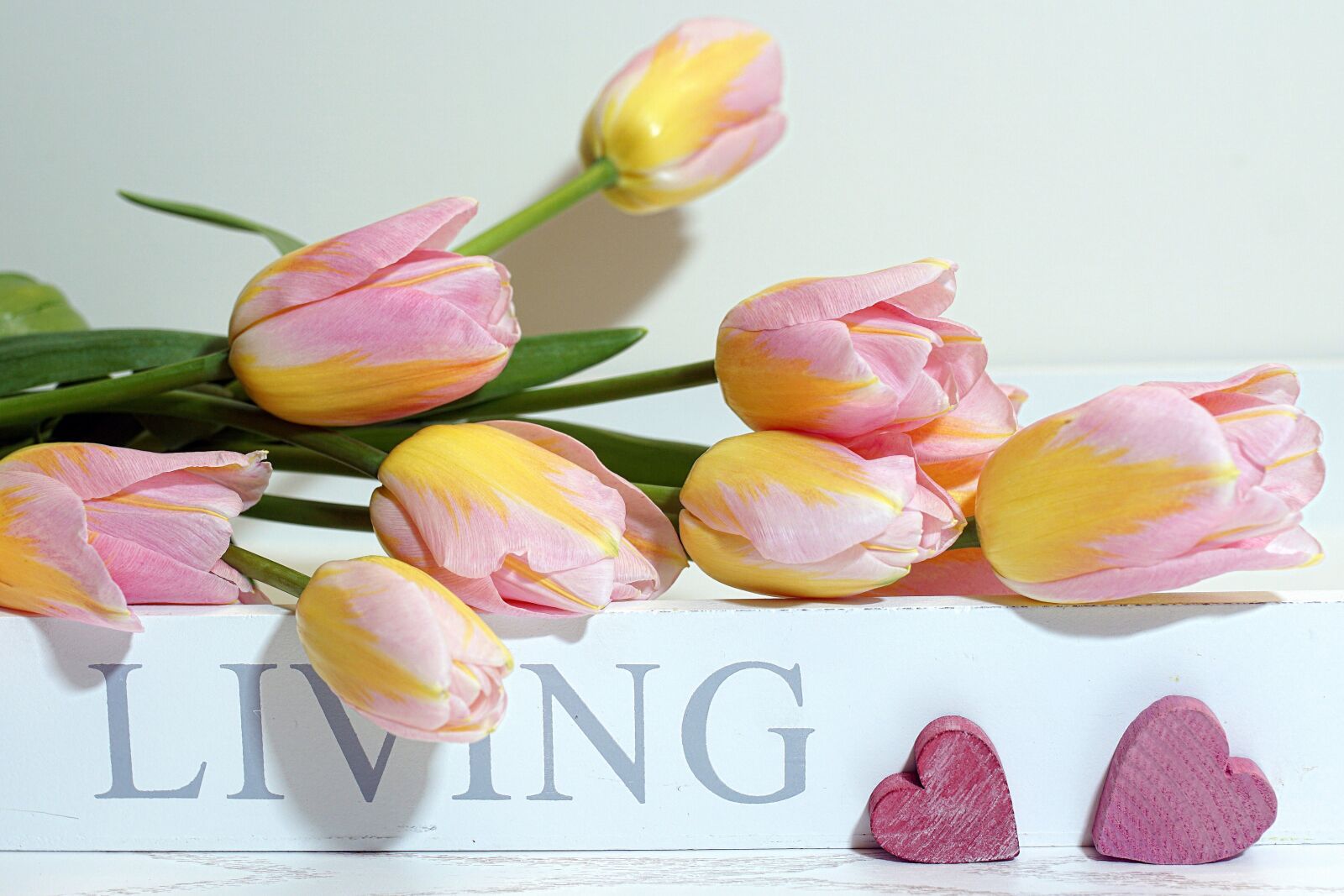 Sony ILCA-77M2 sample photo. Tulips, spring, joy of photography