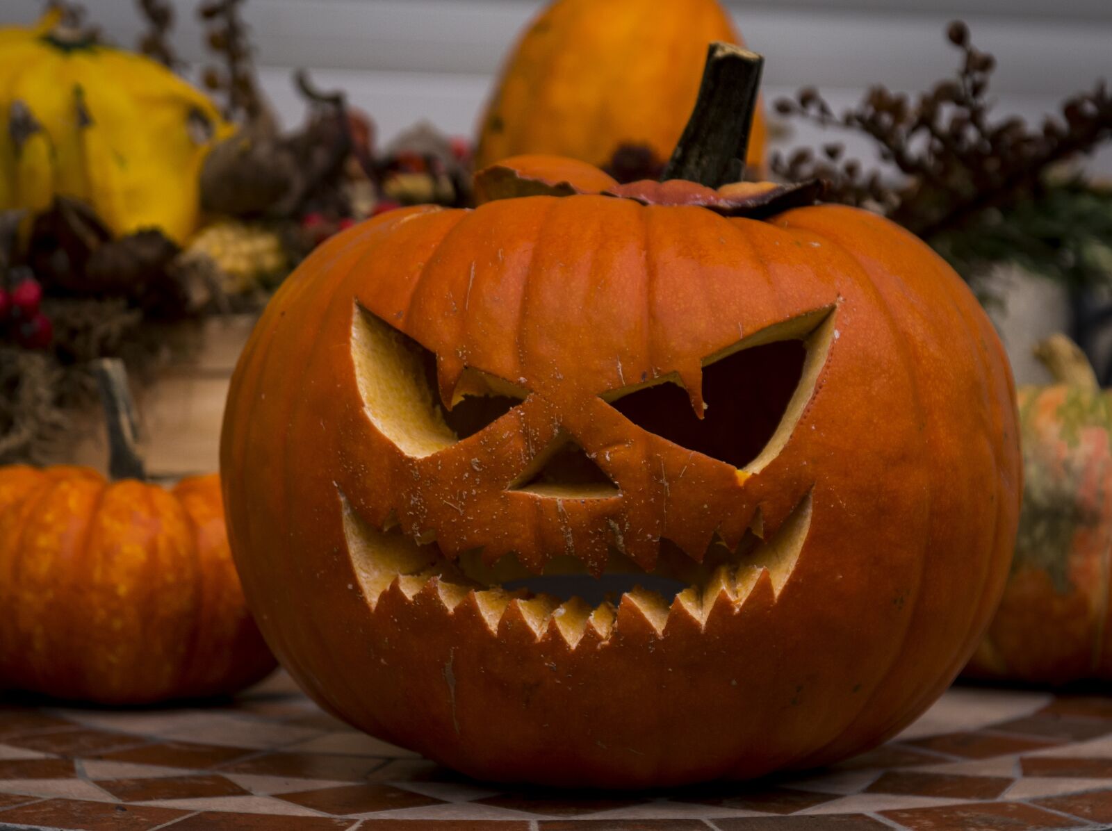 Nikon D7100 sample photo. Pumpkin, deco, halloween photography