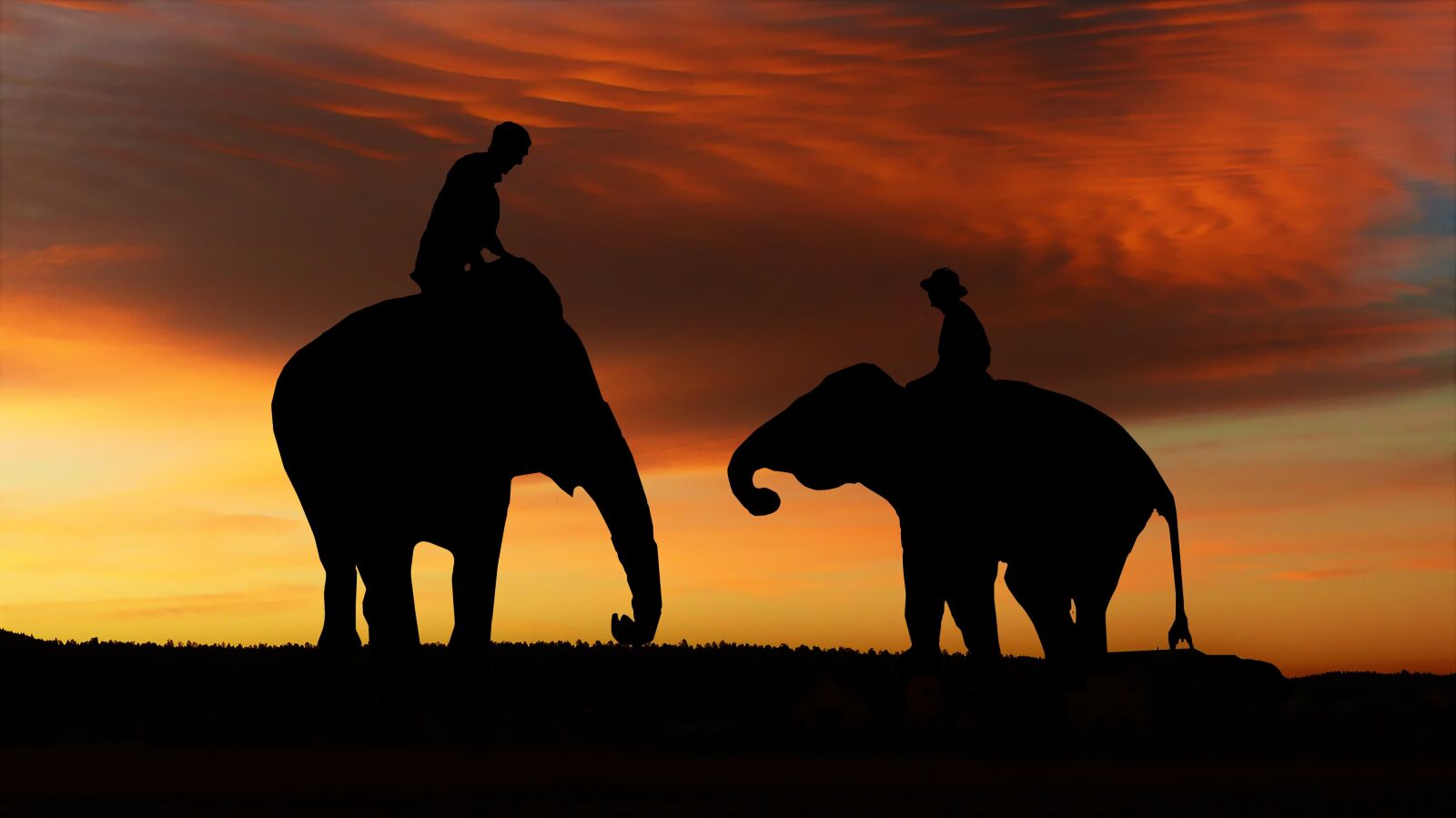 Panasonic Lumix DMC-FZ200 sample photo. Sunset, asia, elephants photography
