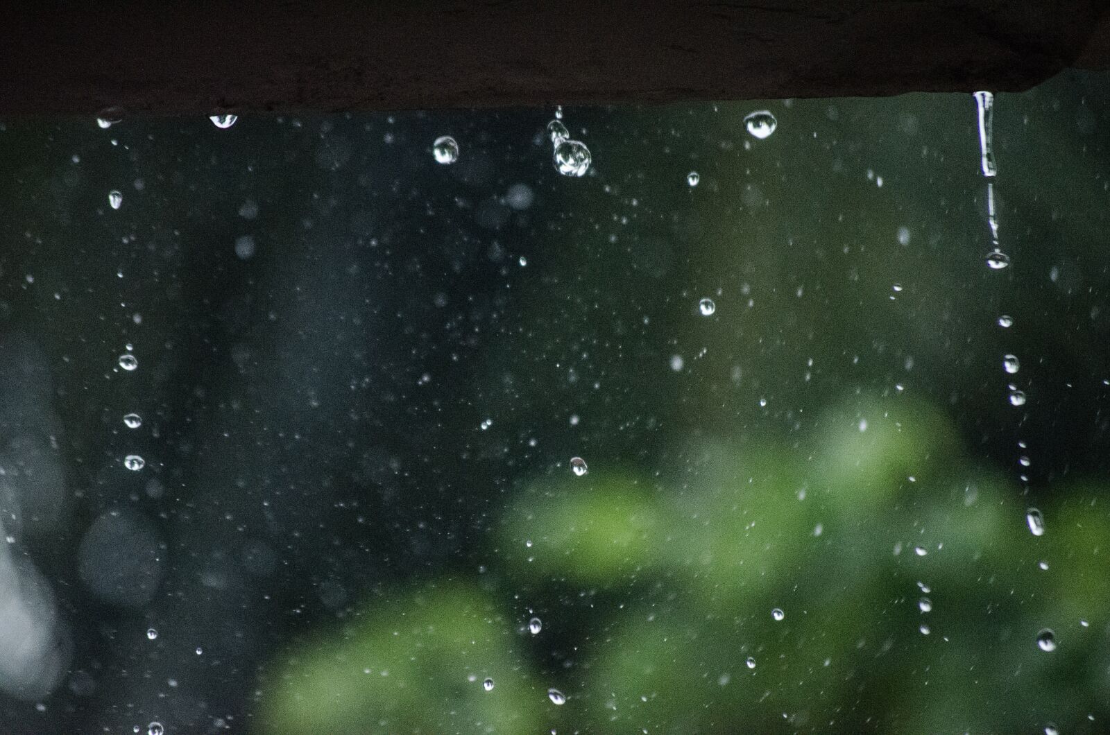 Nikon D5100 sample photo. Rain, drops, monsoon photography