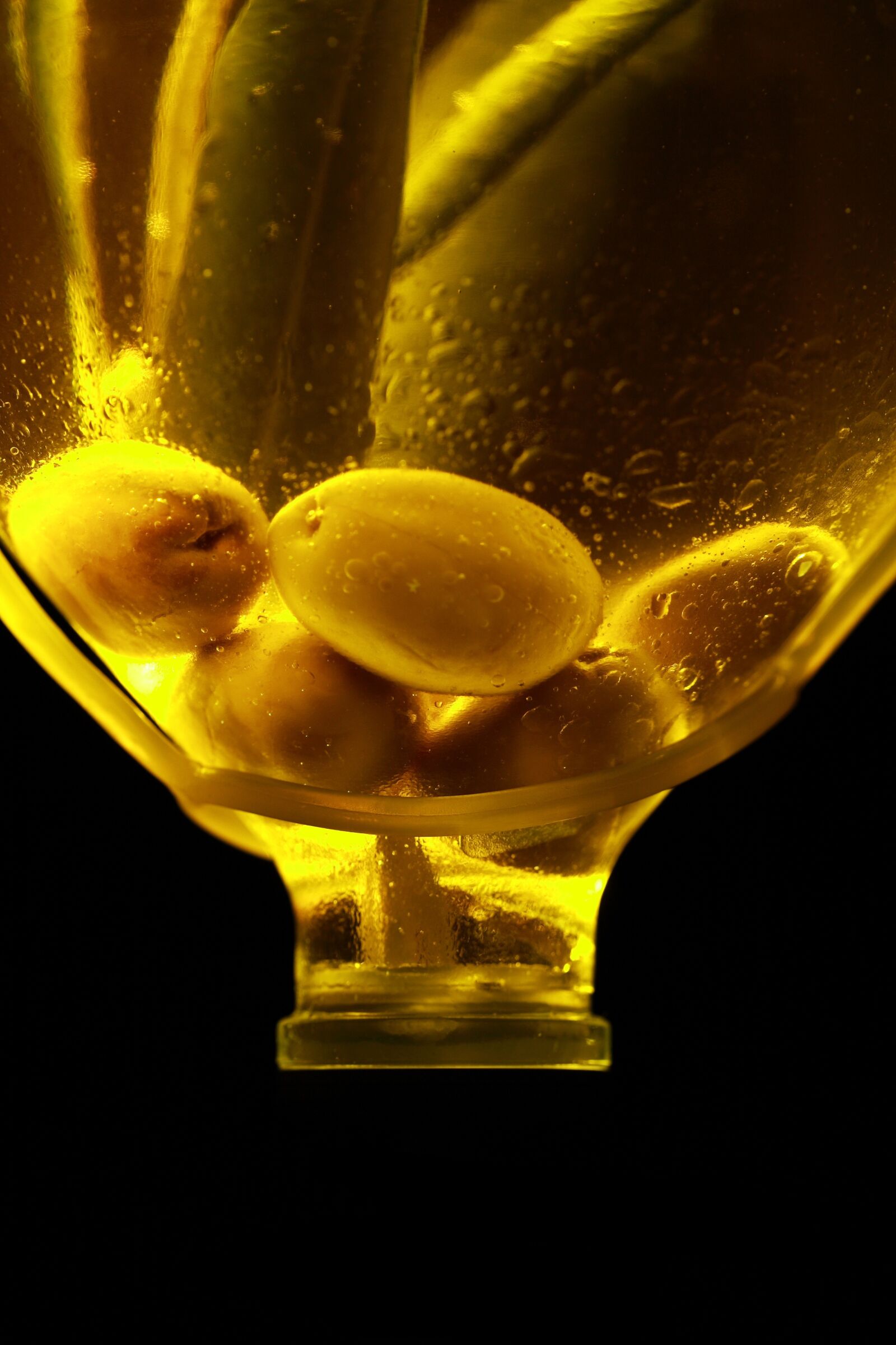 Canon EOS 40D sample photo. Olives, oil, serum bottle photography