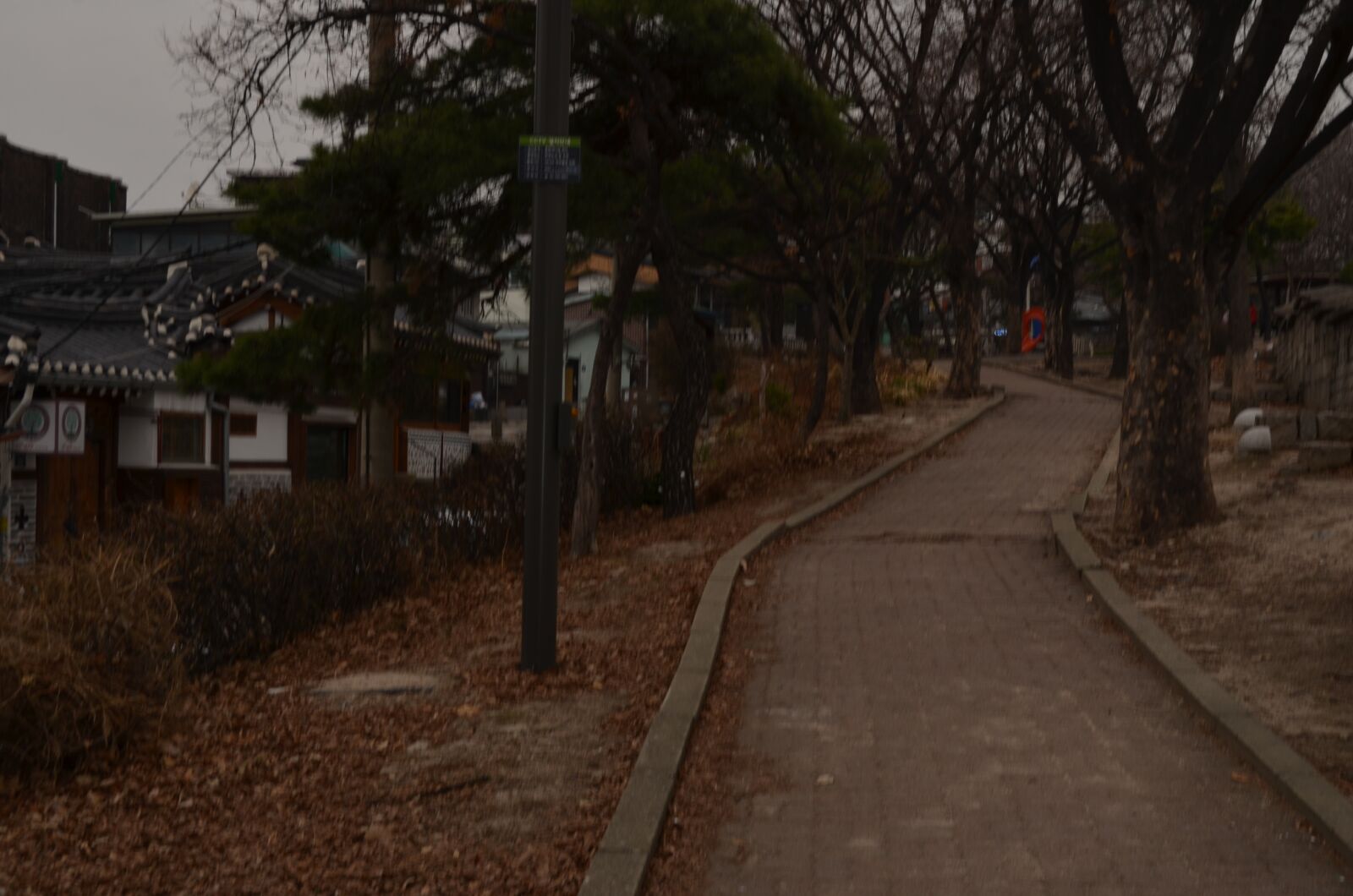 Nikon D7000 sample photo. Korea, seoul, republic of photography