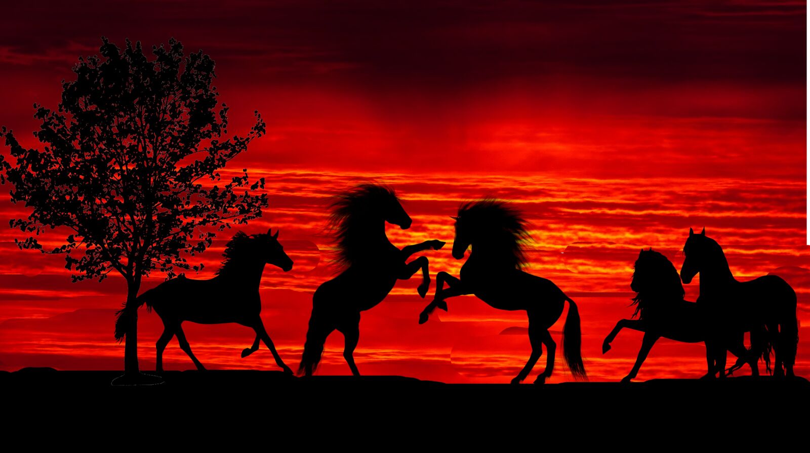 Panasonic Lumix DMC-FZ200 sample photo. Sunset, animals, horses wild photography