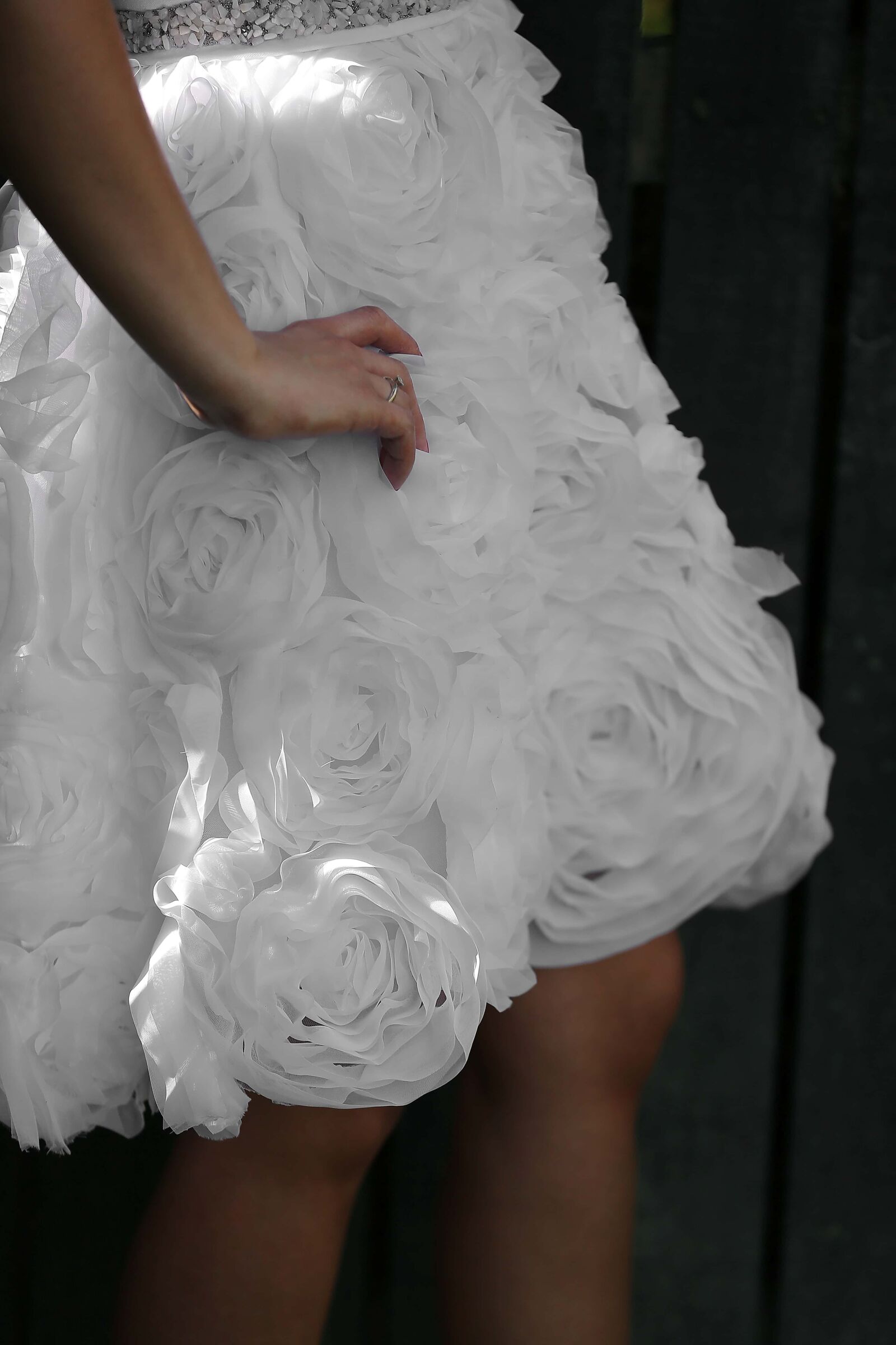 Canon EOS 5D Mark III sample photo. Wedding dress, skirt, position photography