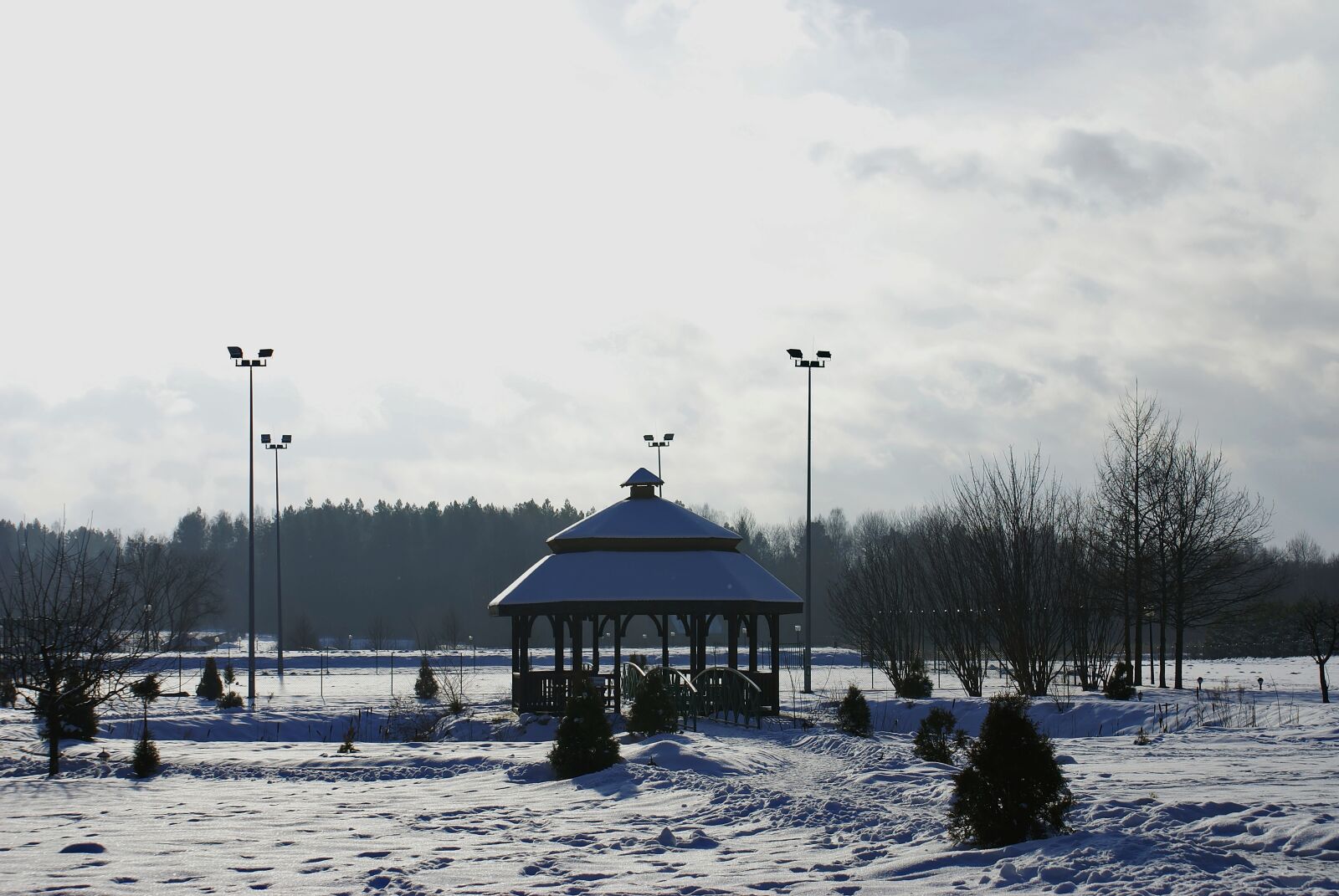 Sony Alpha DSLR-A100 sample photo. Bower, winter, holiday photography