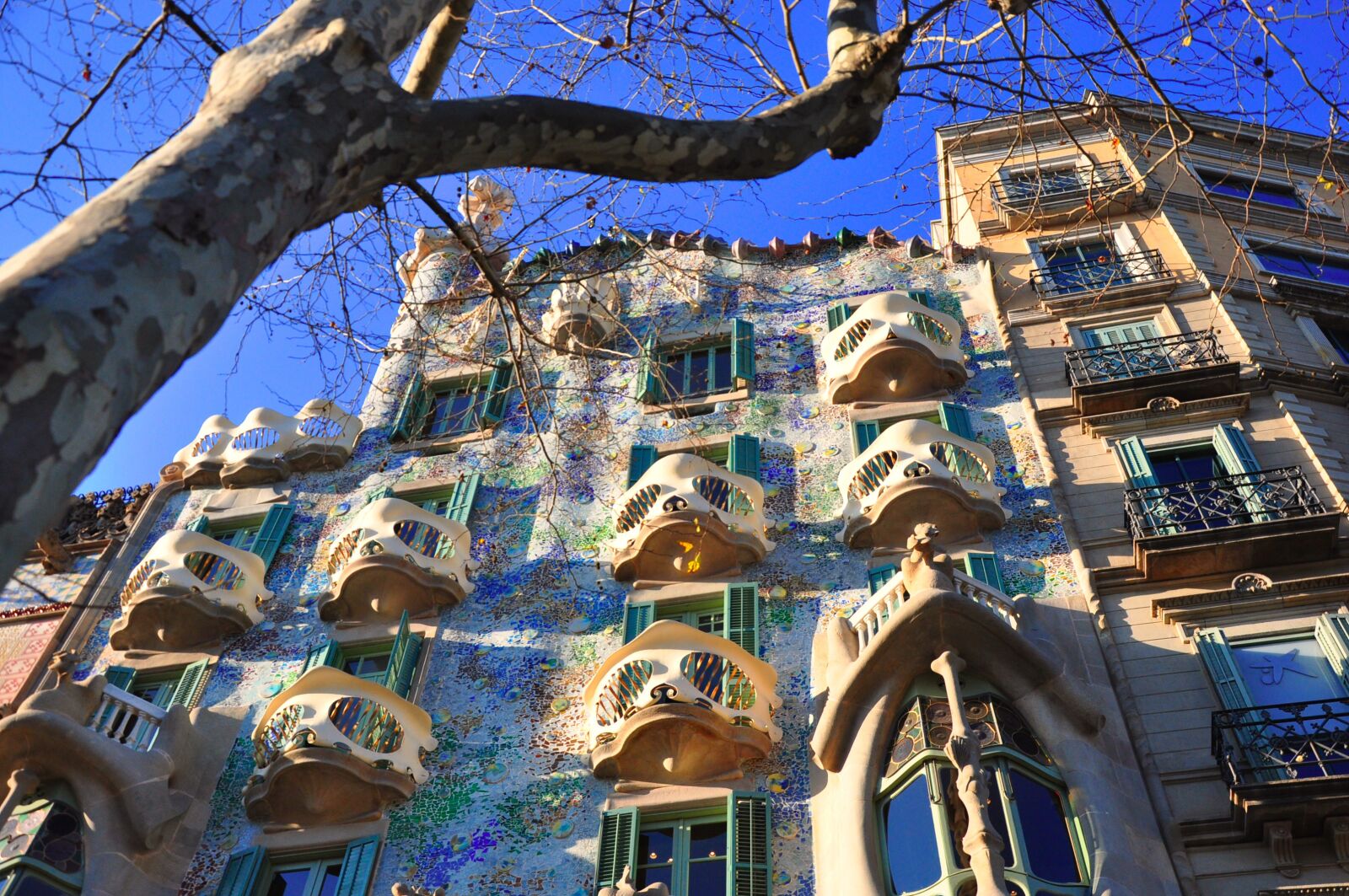 Nikon D90 sample photo. High first, gaudí, barcelona photography