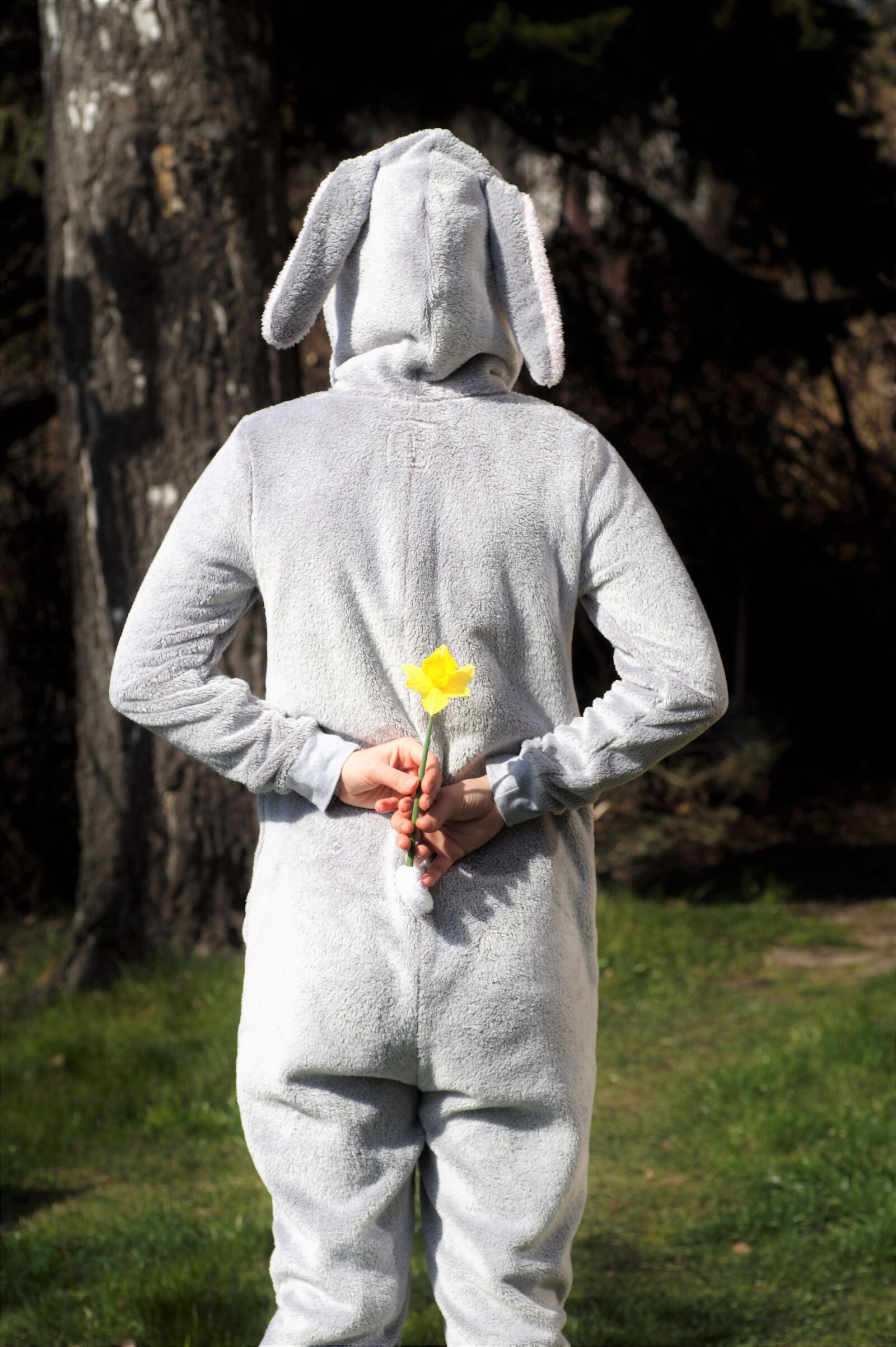 Sony SLT-A58 sample photo. Easter, bunny girl, hare photography