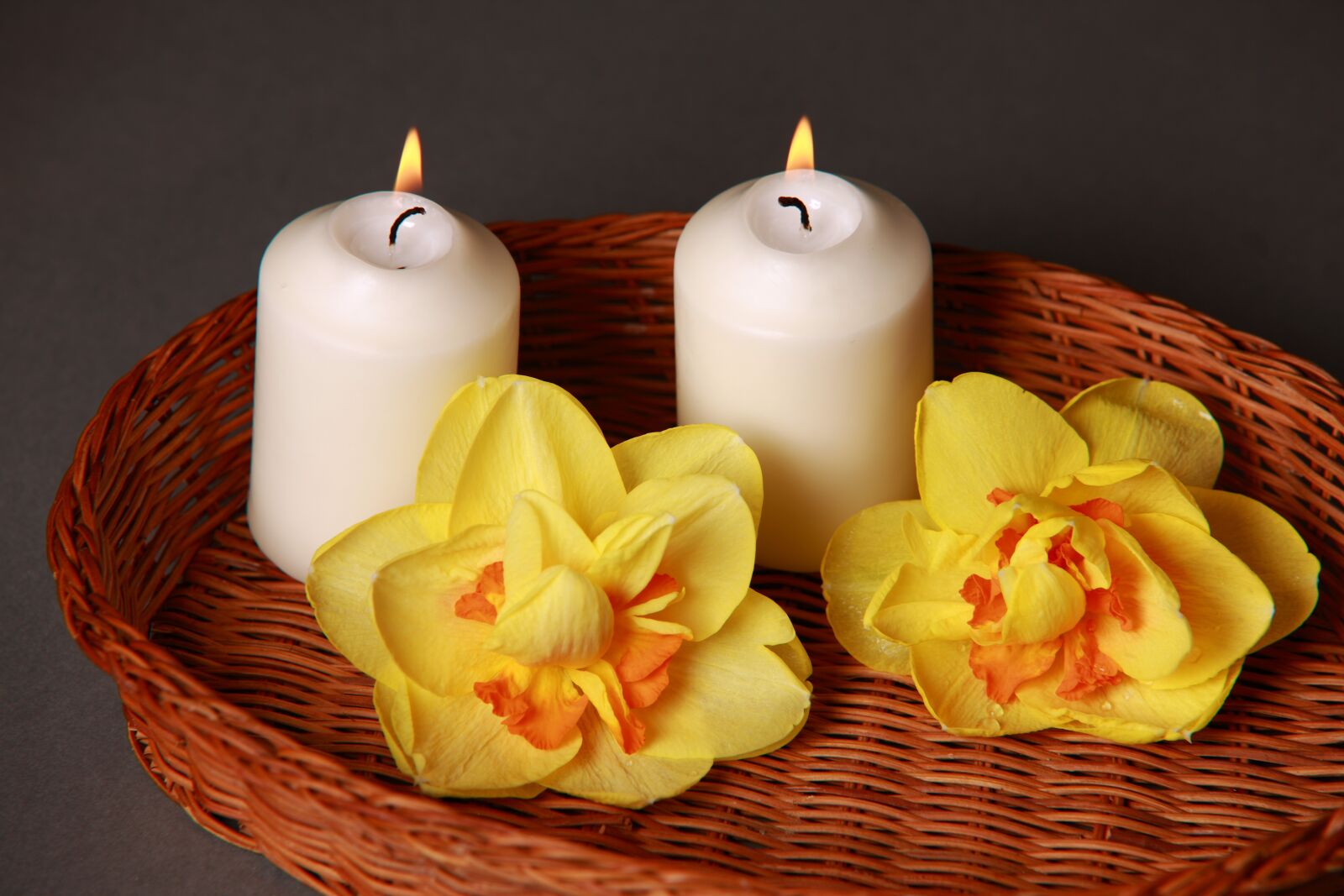 Canon EOS-1Ds Mark III sample photo. Candle, flower, decoration photography