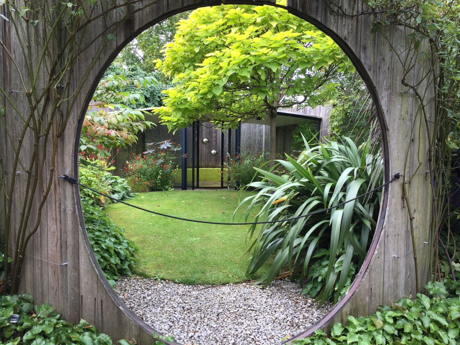 iPhone 6 Plus back camera 4.15mm f/2.2 sample photo. Harlow carr, gardens, yorkshire photography