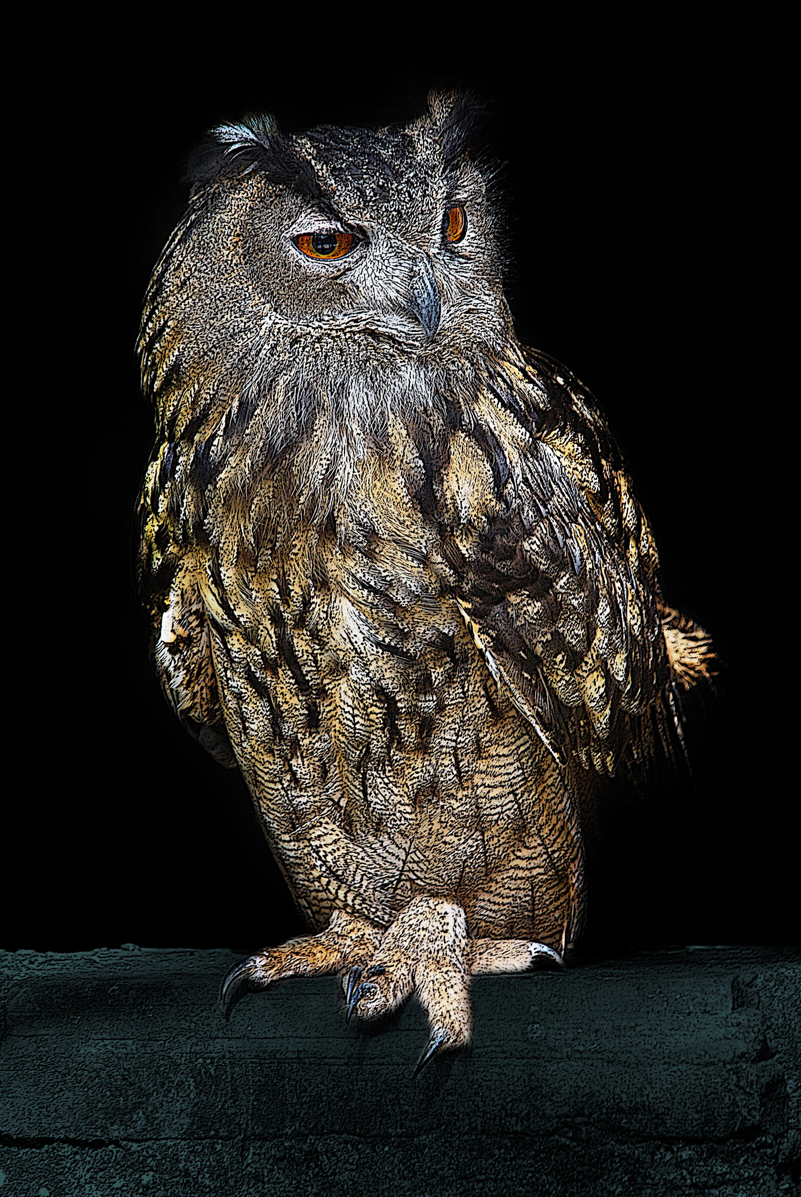 Nikon D40X + Sigma 18-200mm F3.5-6.3 DC OS HSM sample photo. Brown, and, silver, owl photography