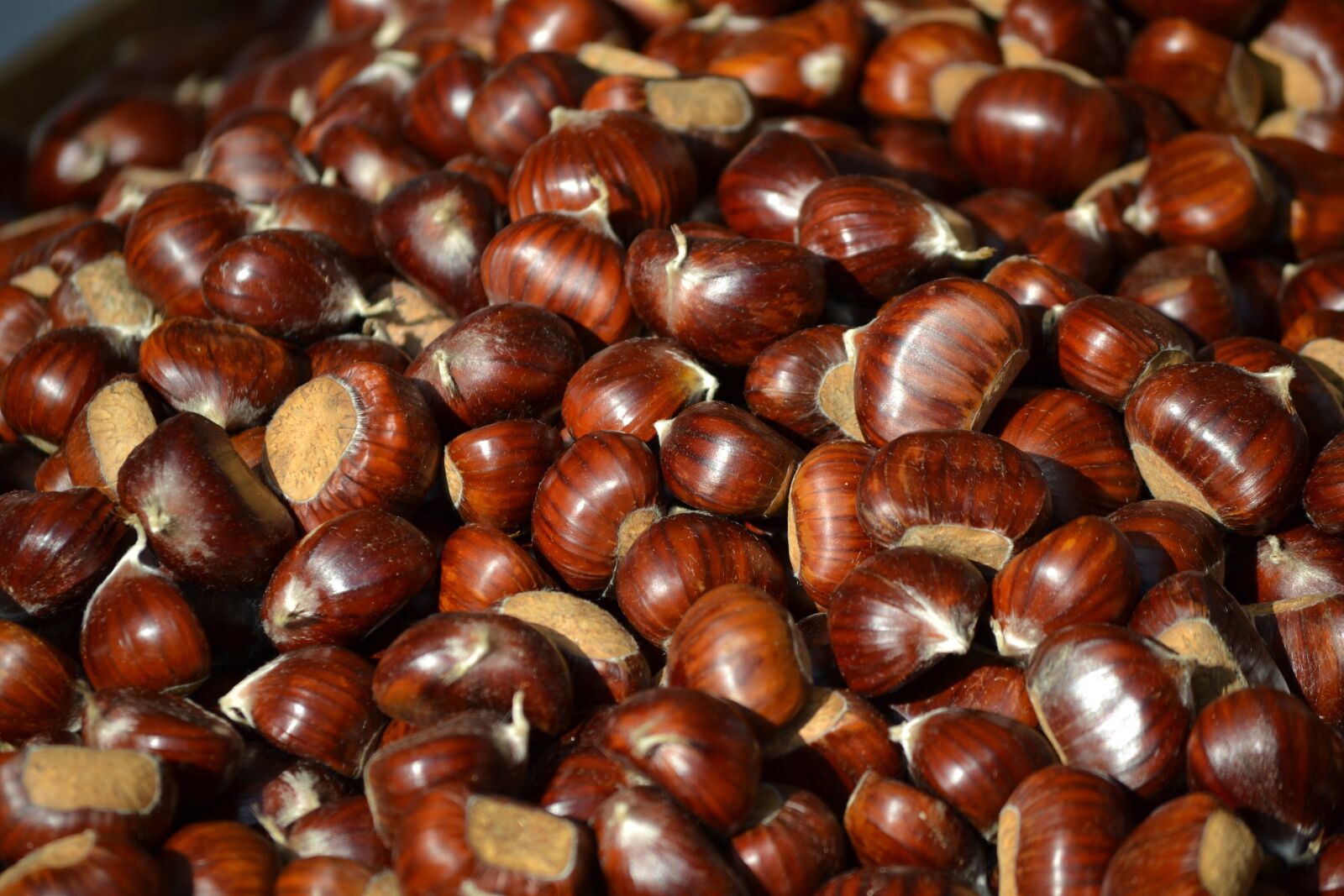 Nikon D3100 sample photo. Chestnuts, autumn, dried fruit photography