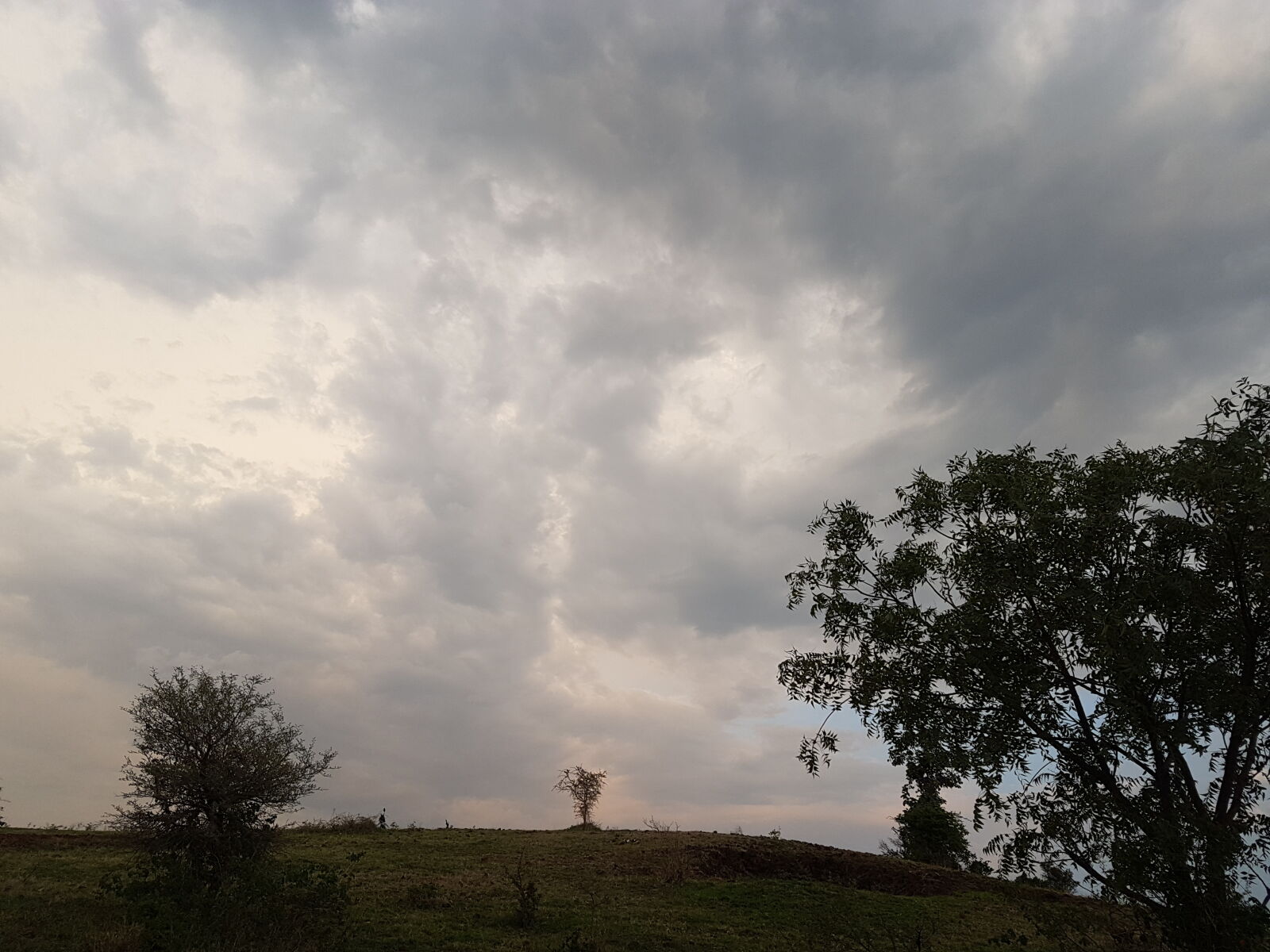 Samsung Galaxy S7 Edge sample photo. Mother, nature photography