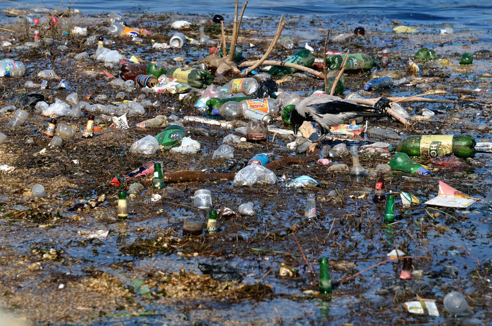 Nikon D7000 sample photo. Lastic, glass, garbage photography
