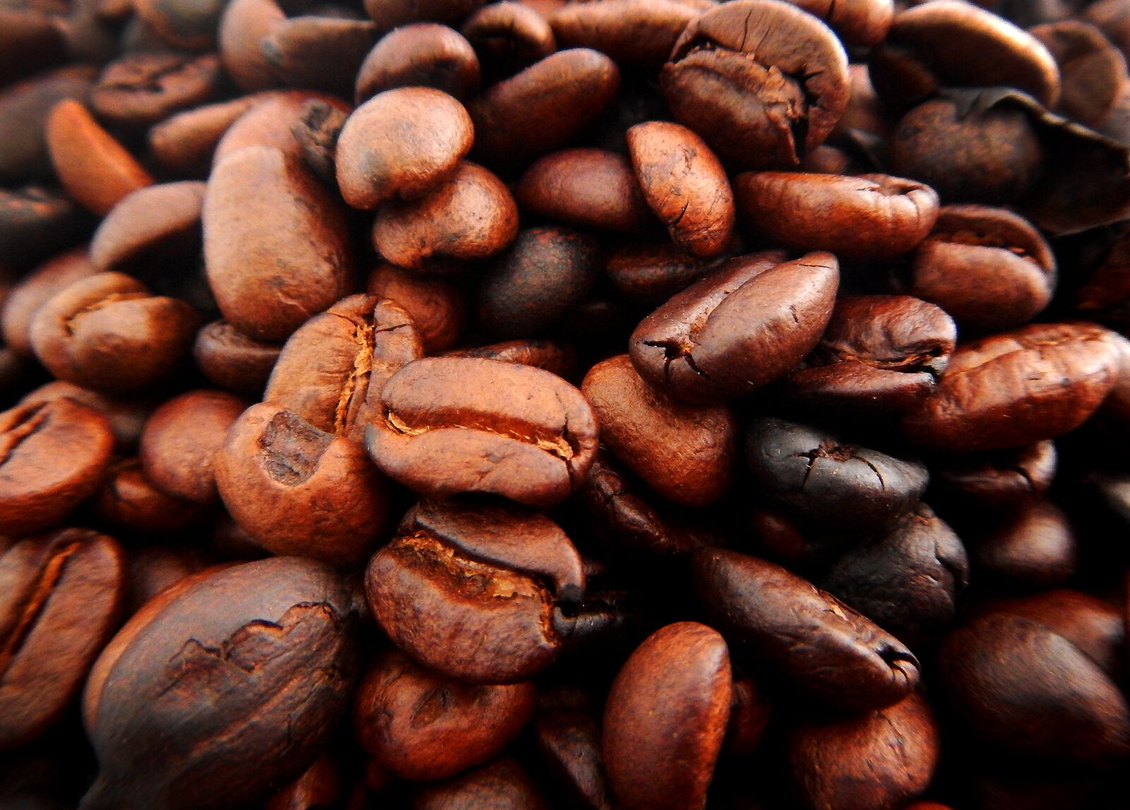 Nikon Coolpix AW110 sample photo. Coffe grains, coffee, brown photography