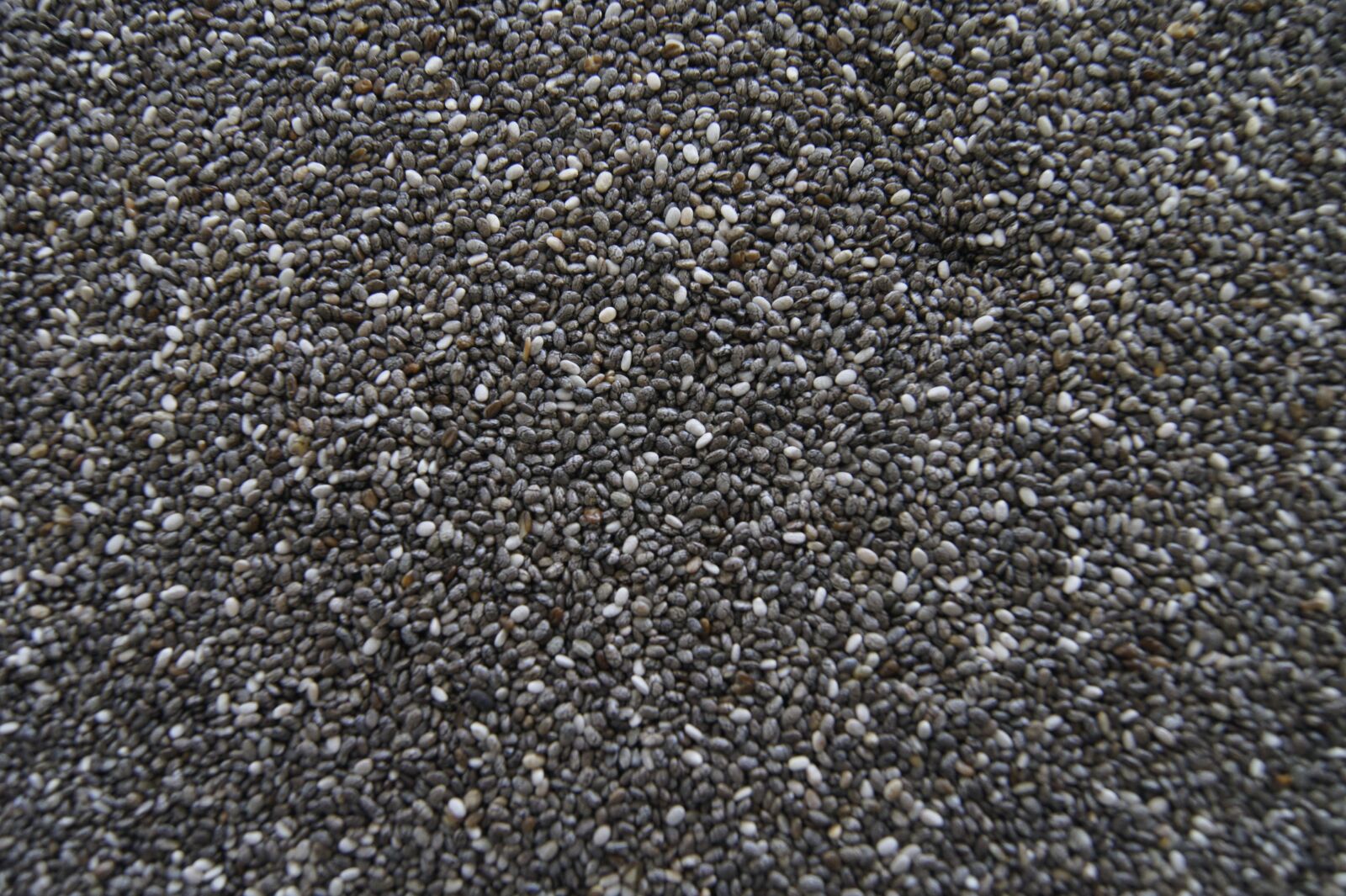 Sony Alpha DSLR-A550 sample photo. Texture, seeds, chia photography