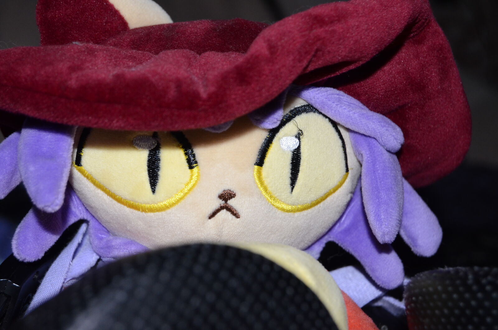 Nikon D5100 sample photo