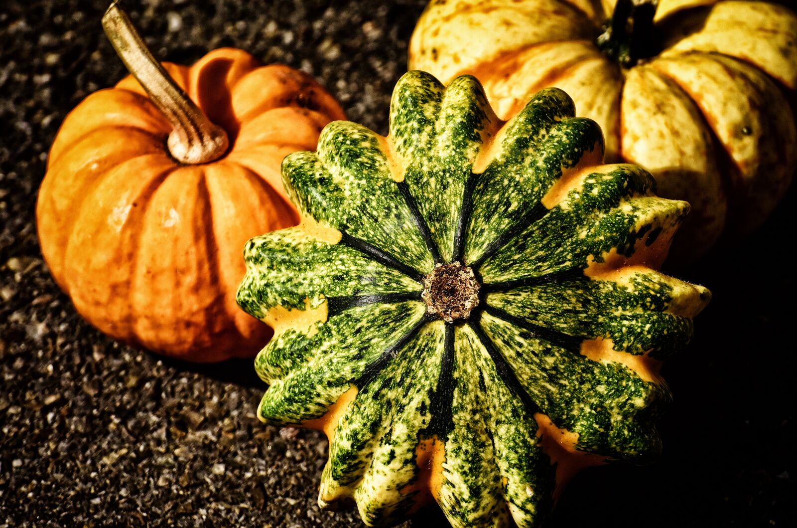 Nikon D7200 sample photo. Pumpkins, colorful, autumn photography