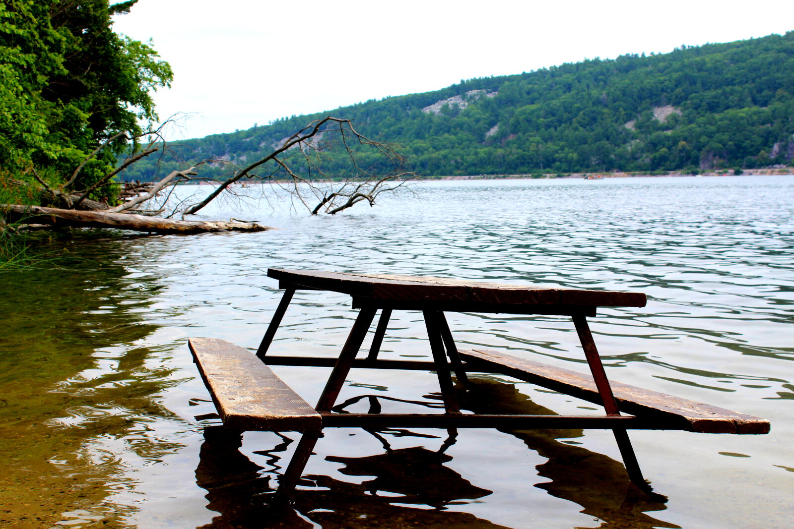 Canon EOS 1200D (EOS Rebel T5 / EOS Kiss X70 / EOS Hi) sample photo. Beautiful, bench, green, lovely photography