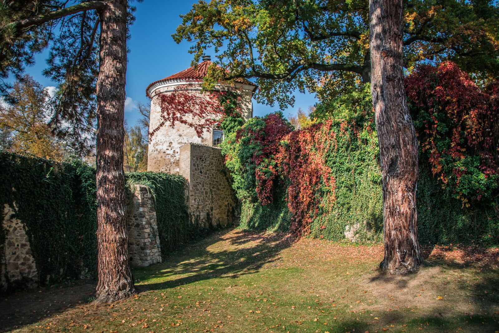 Nikon D5300 sample photo. Park, castle, architecture photography
