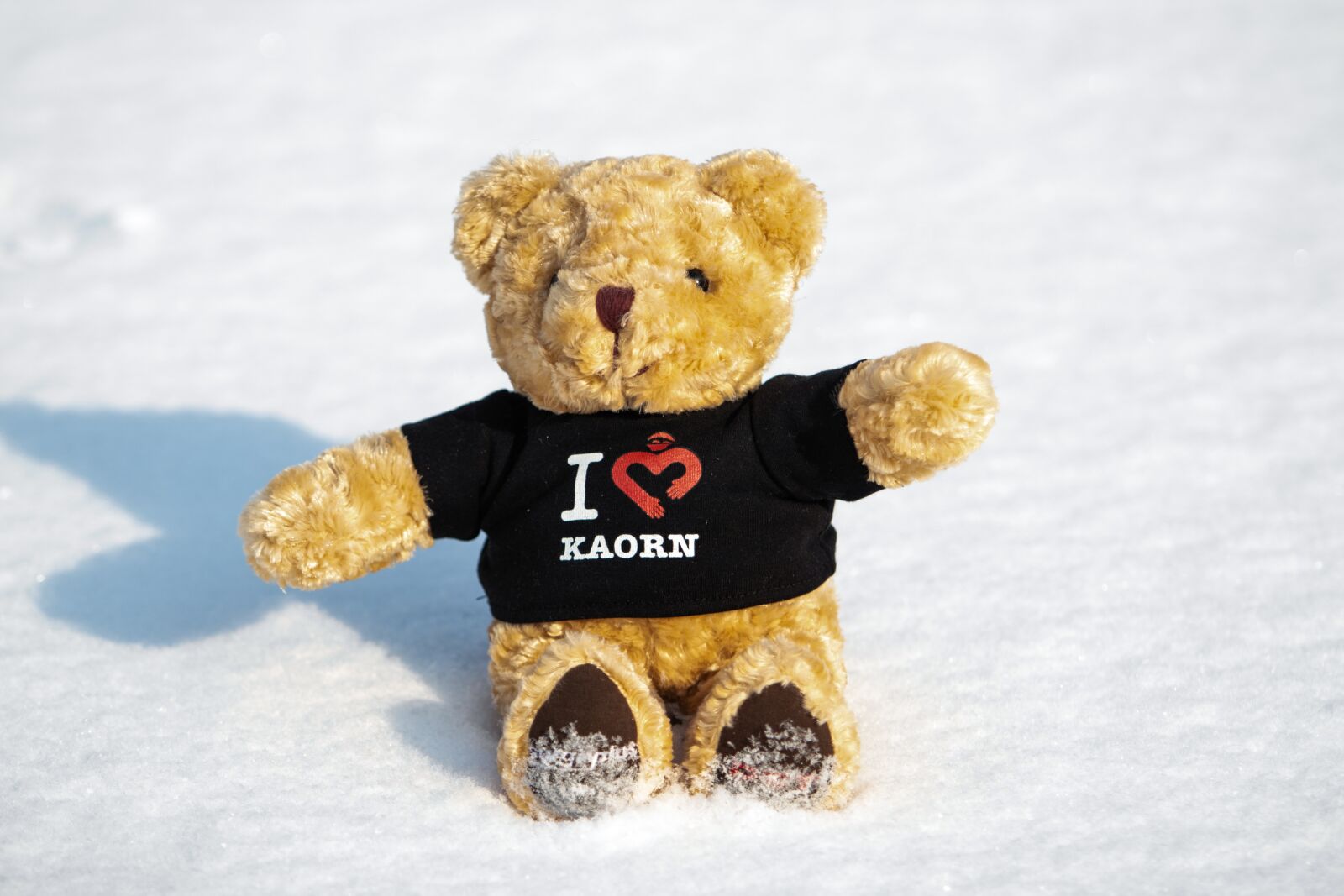 Canon EF 70-200mm F2.8L USM sample photo. Snow, winter, christmas photography