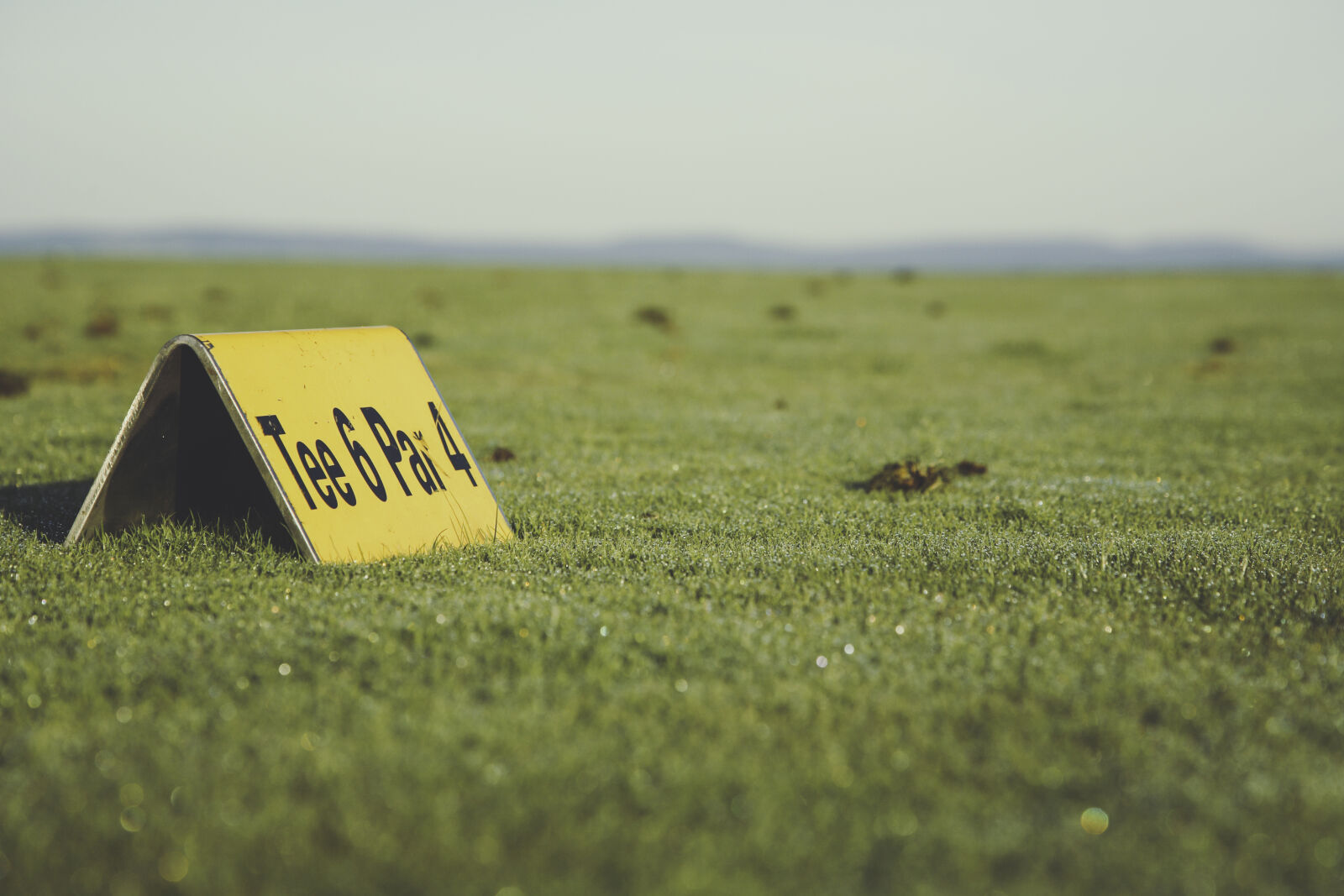 Canon EOS 5D sample photo. Field, sign, grass, meadow photography
