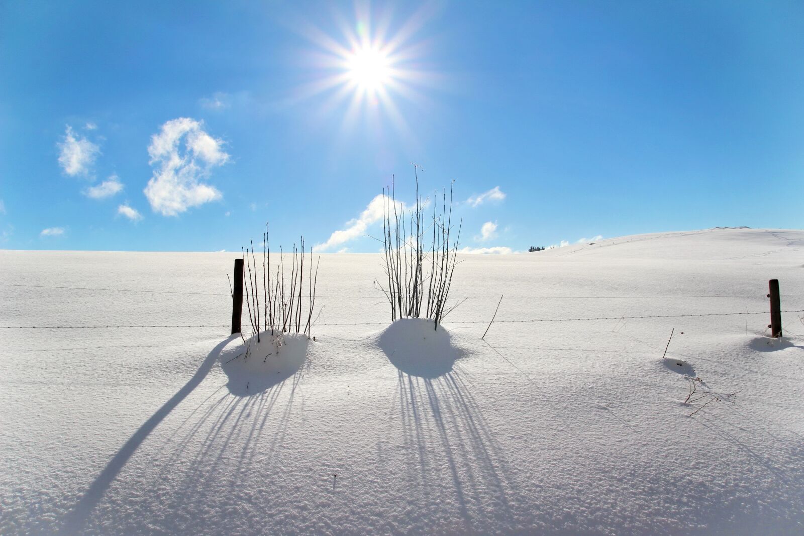 Canon EOS 600D (Rebel EOS T3i / EOS Kiss X5) sample photo. Winter, snow, wintry photography