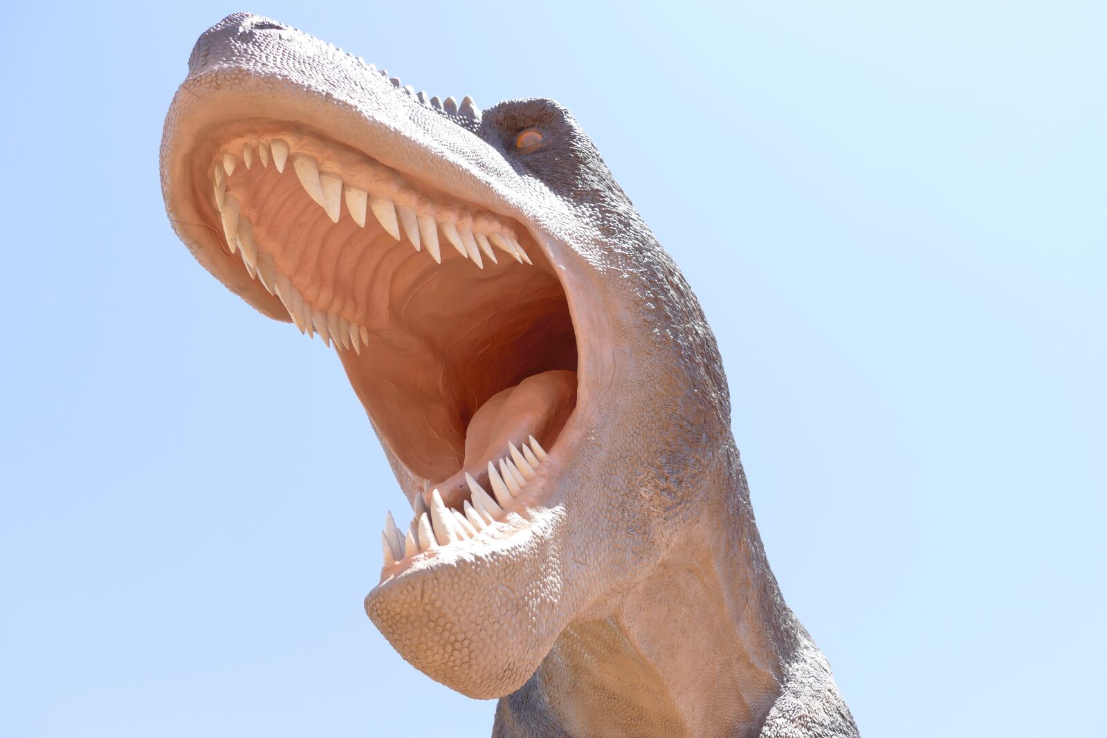 Panasonic Lumix DMC-FZ1000 sample photo. Trex, dinosaur, tyrannosaurus photography