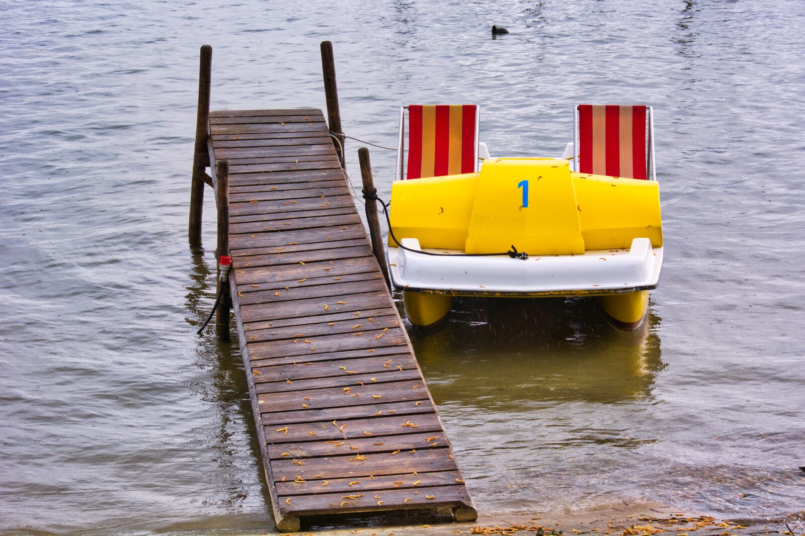 Nikon D7100 sample photo. Pedal boat, boat, bank photography