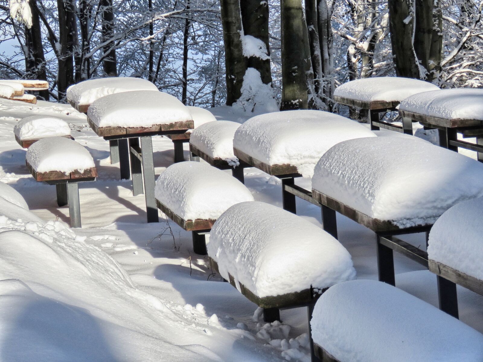 Canon PowerShot SX60 HS sample photo. Winter, snow, bench photography