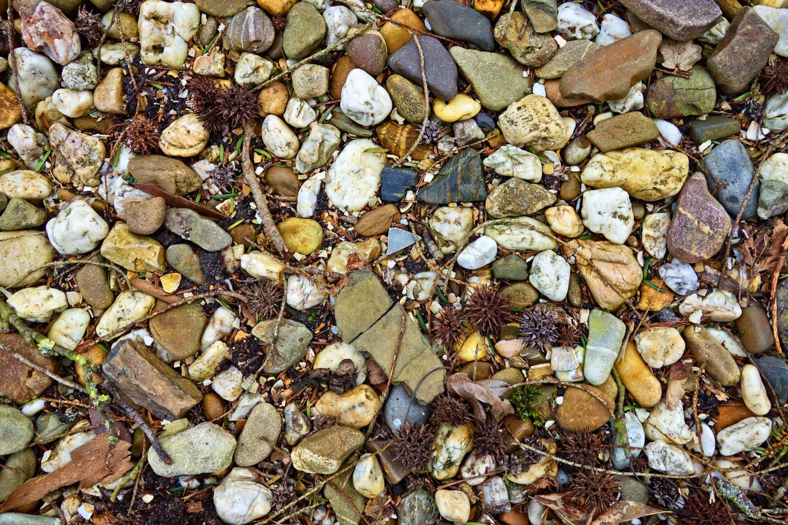 Sony Cyber-shot DSC-RX100 sample photo. Pebble, stone, rock photography
