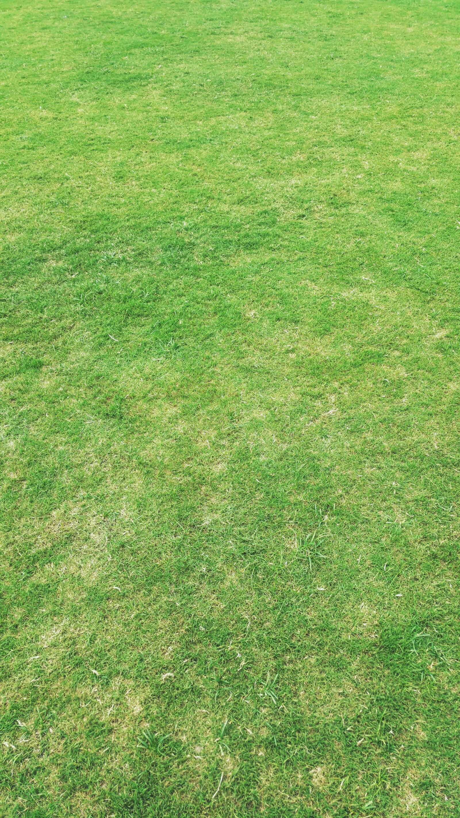Samsung Galaxy Note4 sample photo. Background, backgrounds, desktop, backgrounds photography