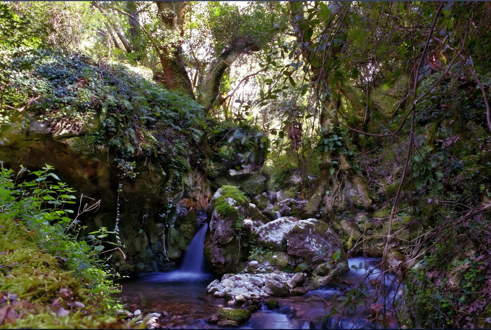 Fujifilm X-E1 sample photo. Jungle, torrent, stream photography