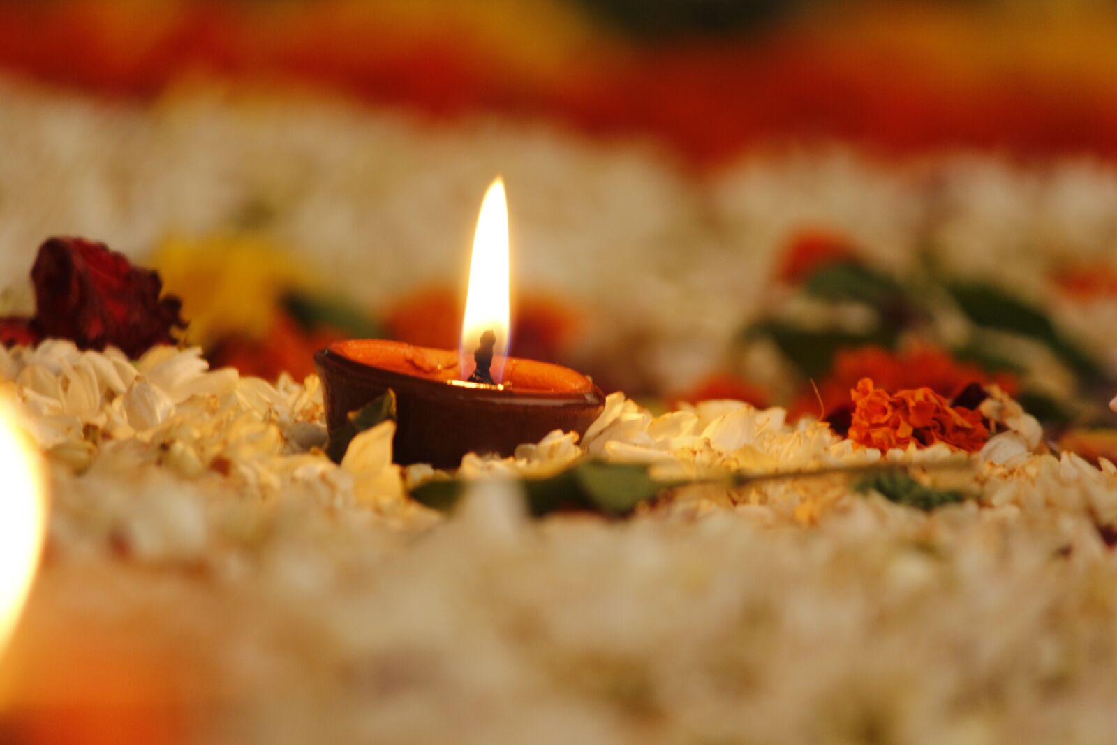 Canon EOS 700D (EOS Rebel T5i / EOS Kiss X7i) sample photo. Diya, deepak, lamp photography